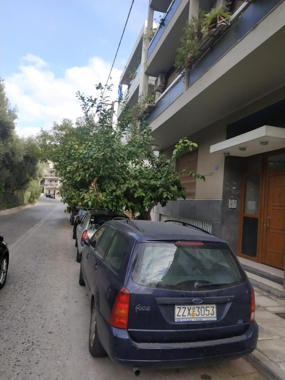 TONI'S Comfy home near Acropolis with Small Garden