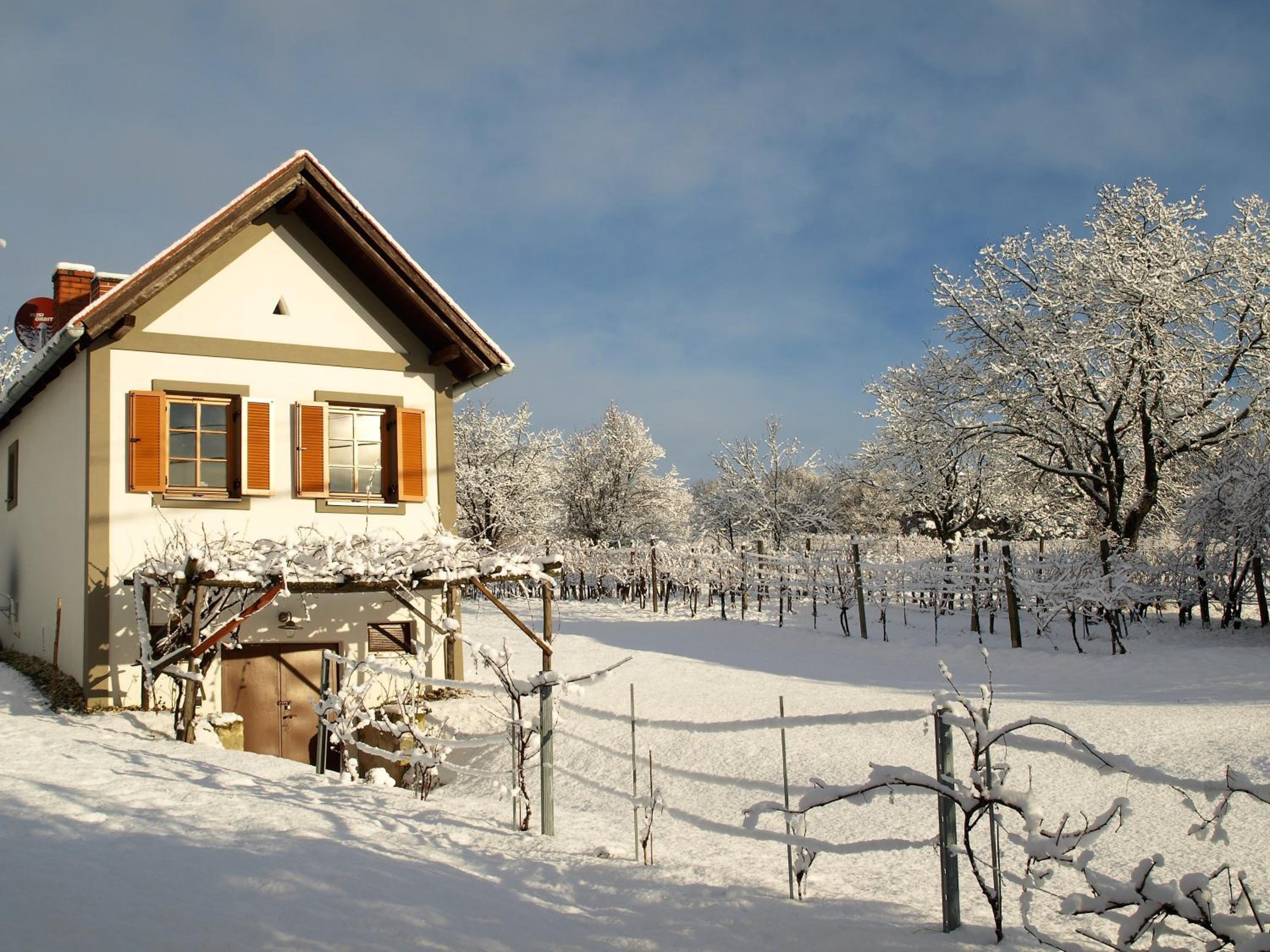 Weinloft I by WEINLOFTS
