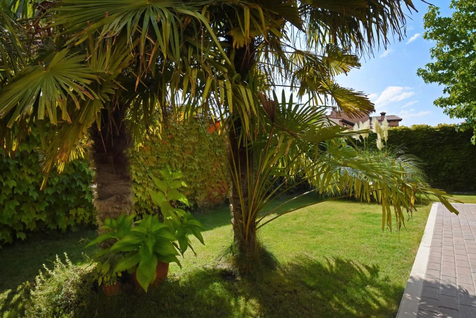 DOÑA MARCELINA DE COLENDA view 5