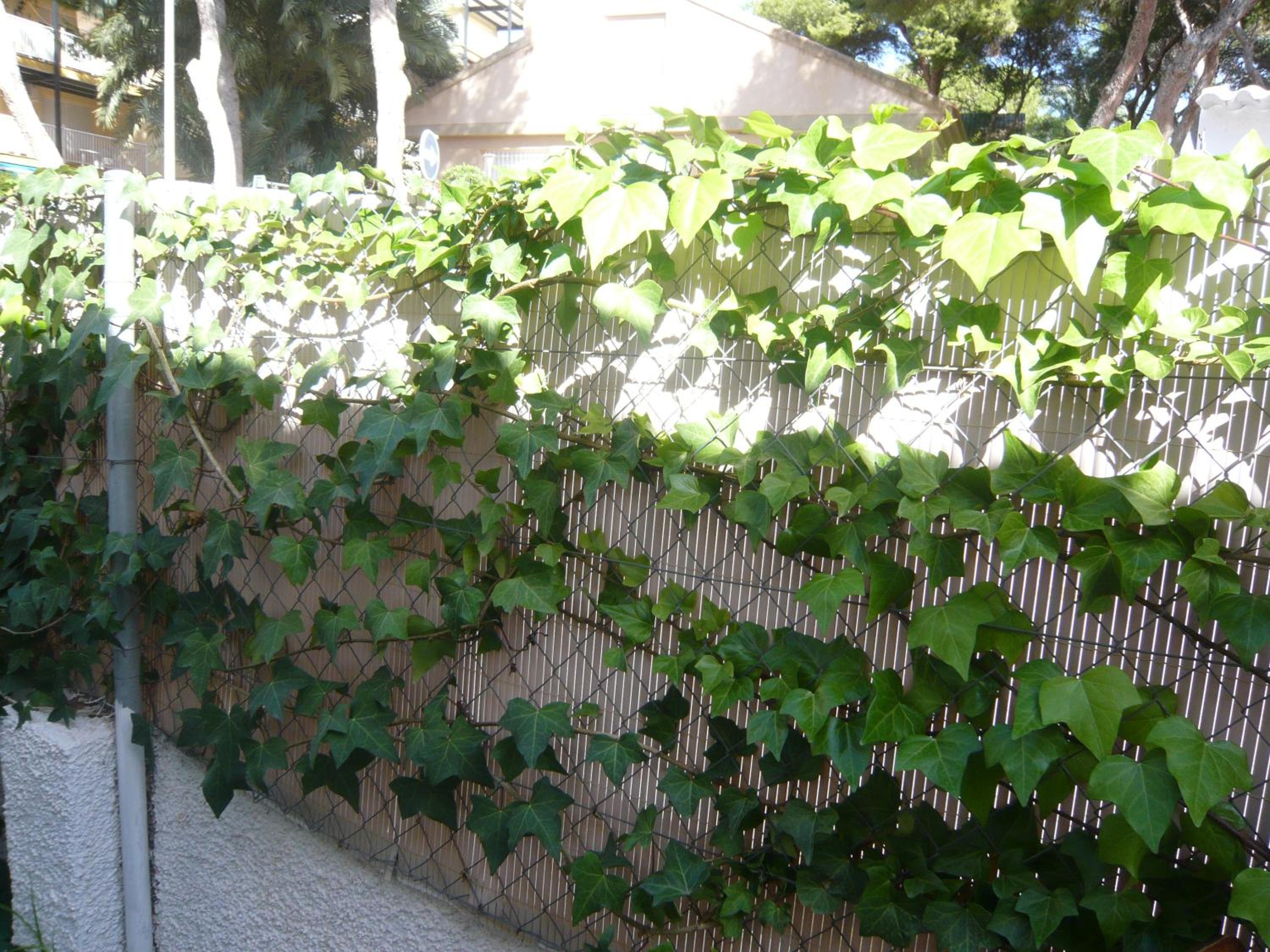 Chalet I con terraza en la playa photo 3