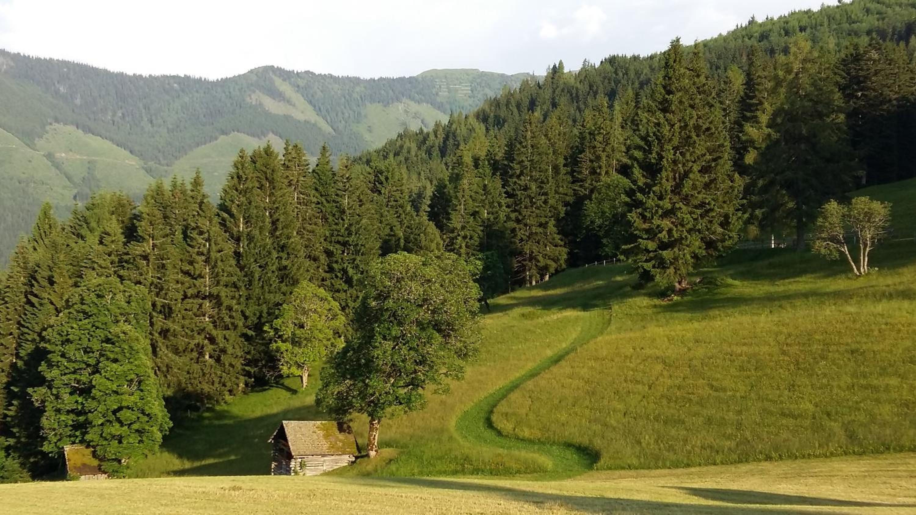Ferienhaus Bichlhütte