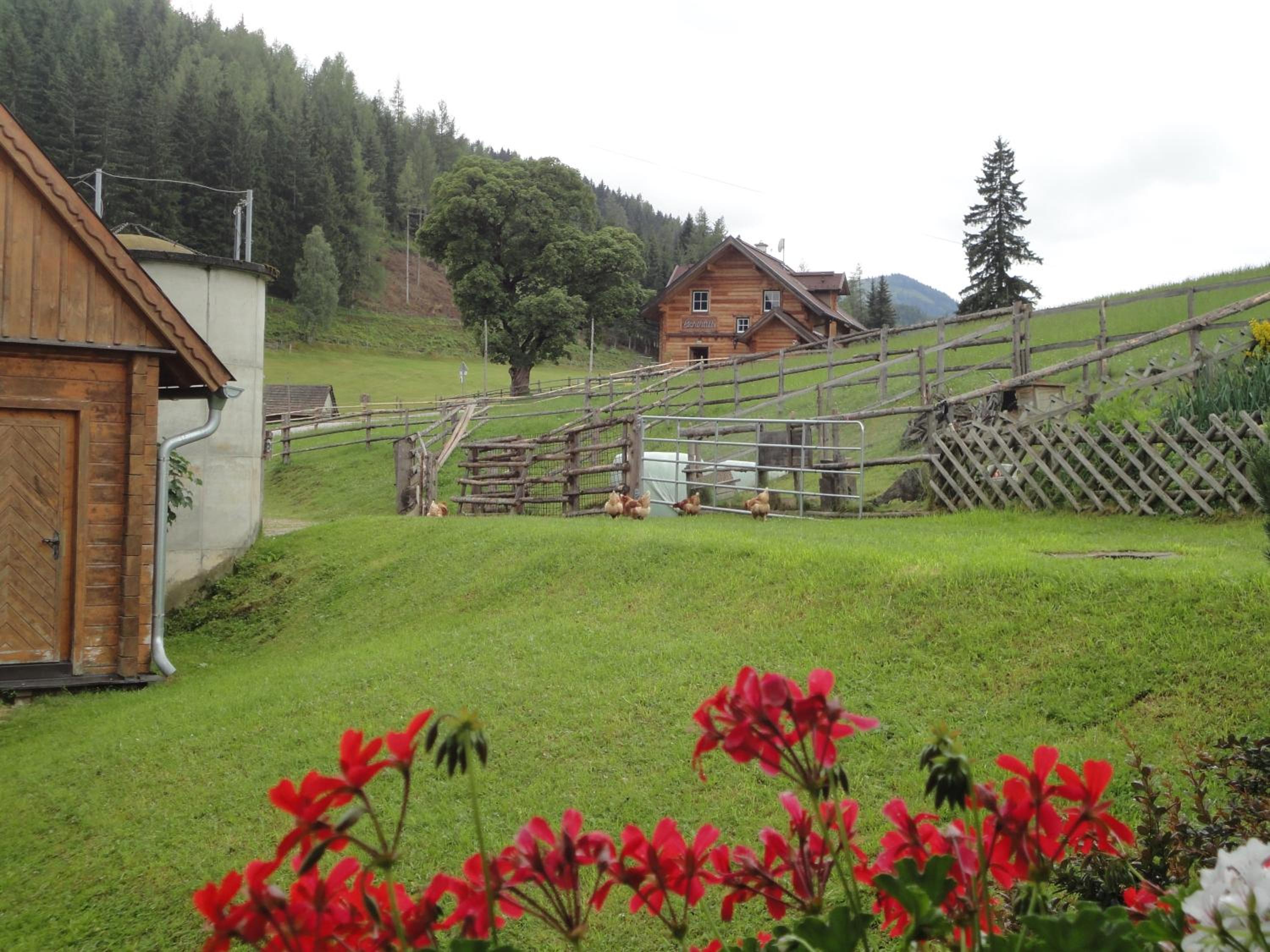 Ferienhaus Bichlhütte