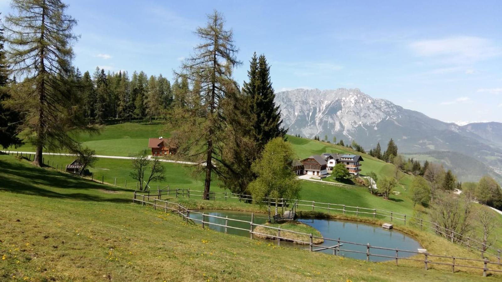 Ferienhaus Bichlhütte