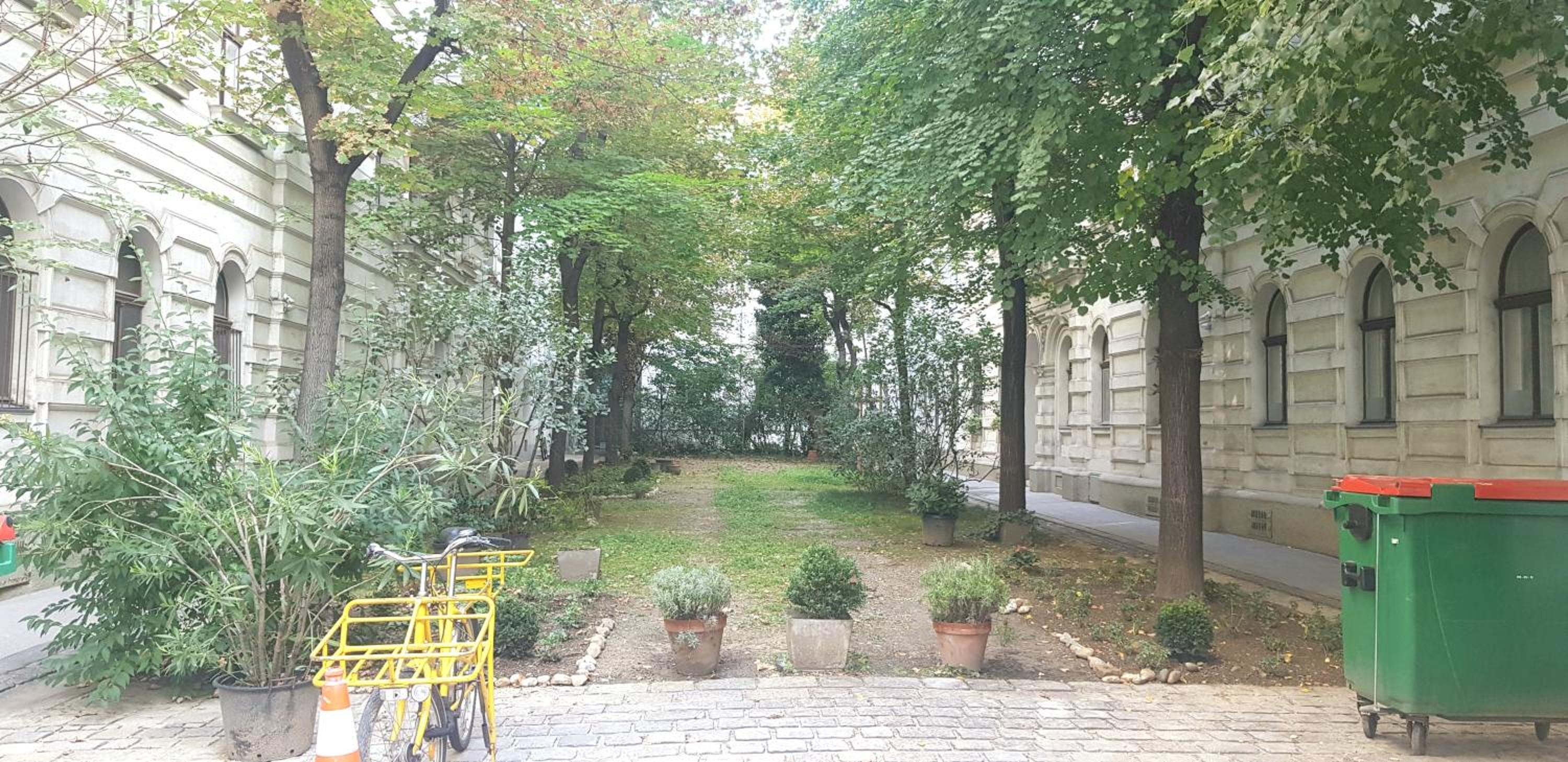 Vienna Center,private zimmer, !