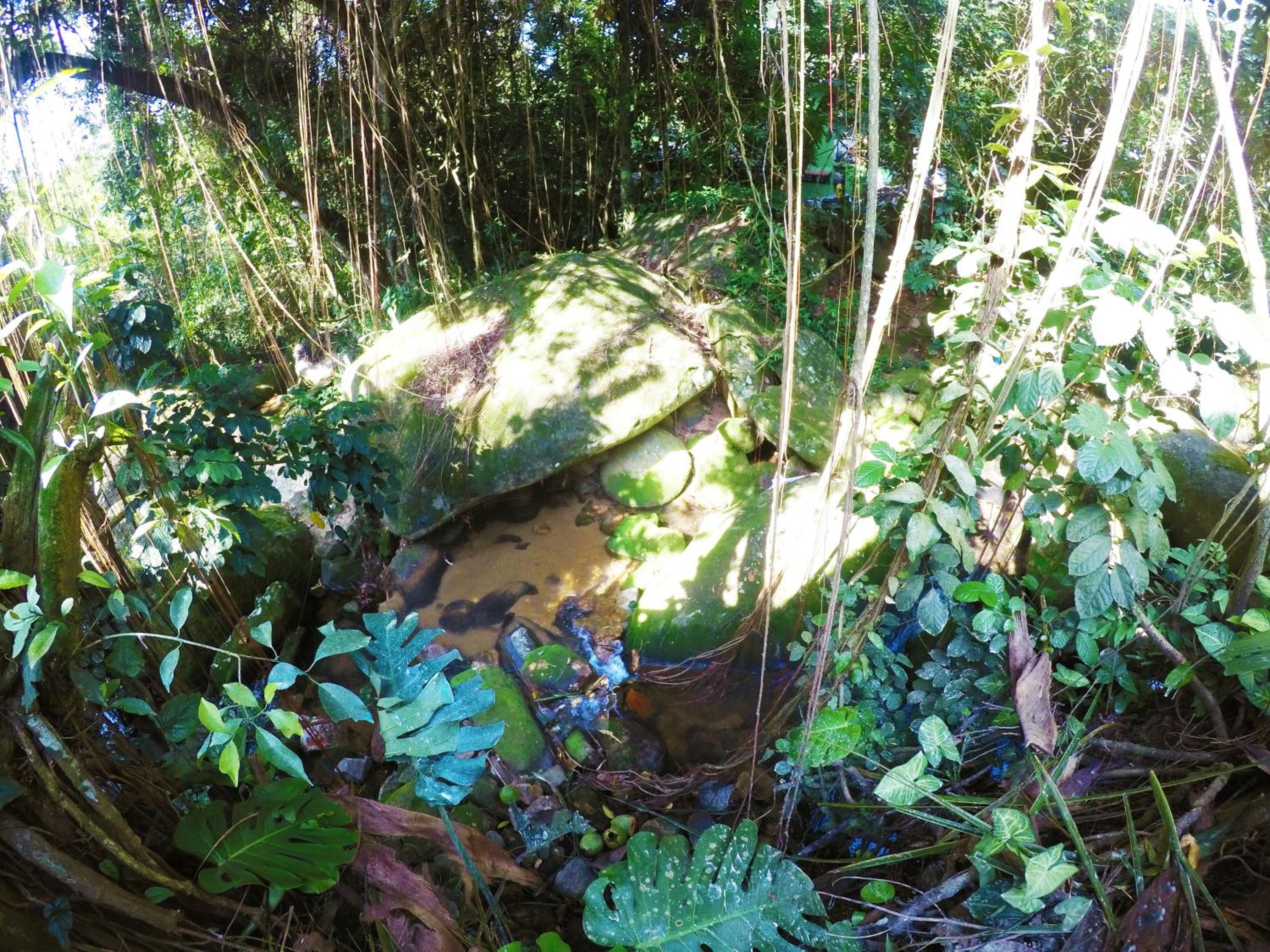 Pousada Guapuruvu view 5