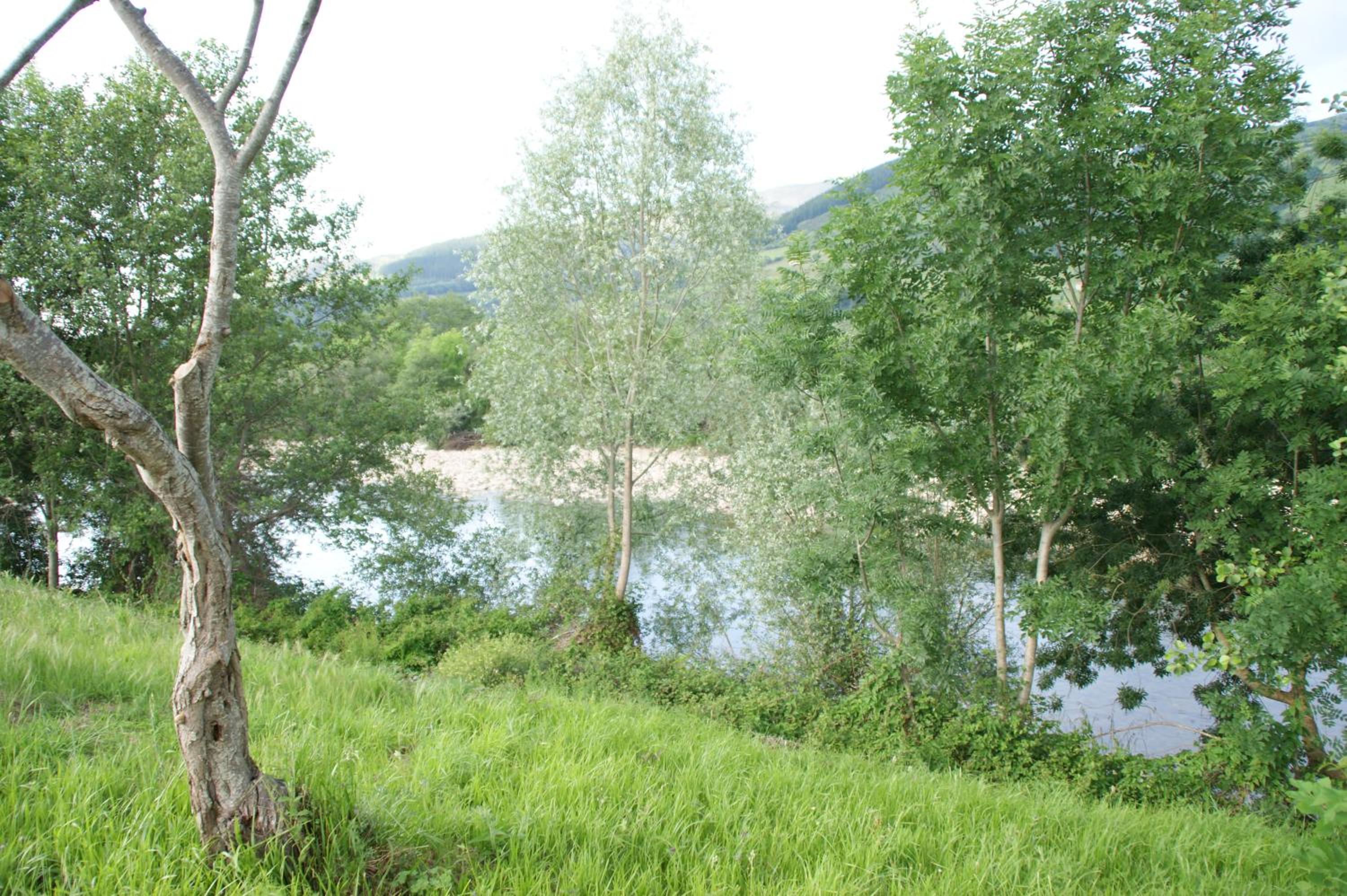 Photo 35