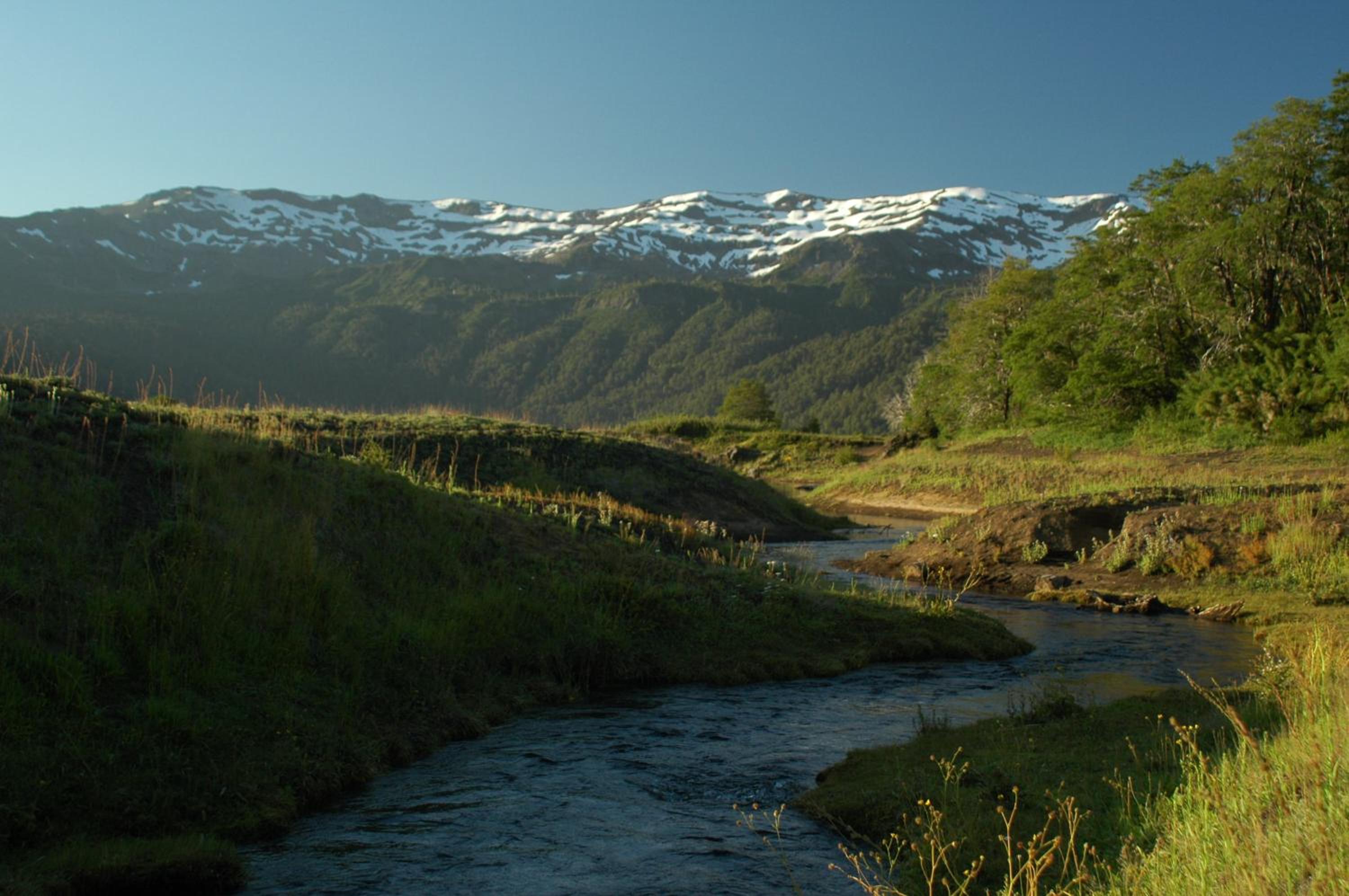 Photo 46