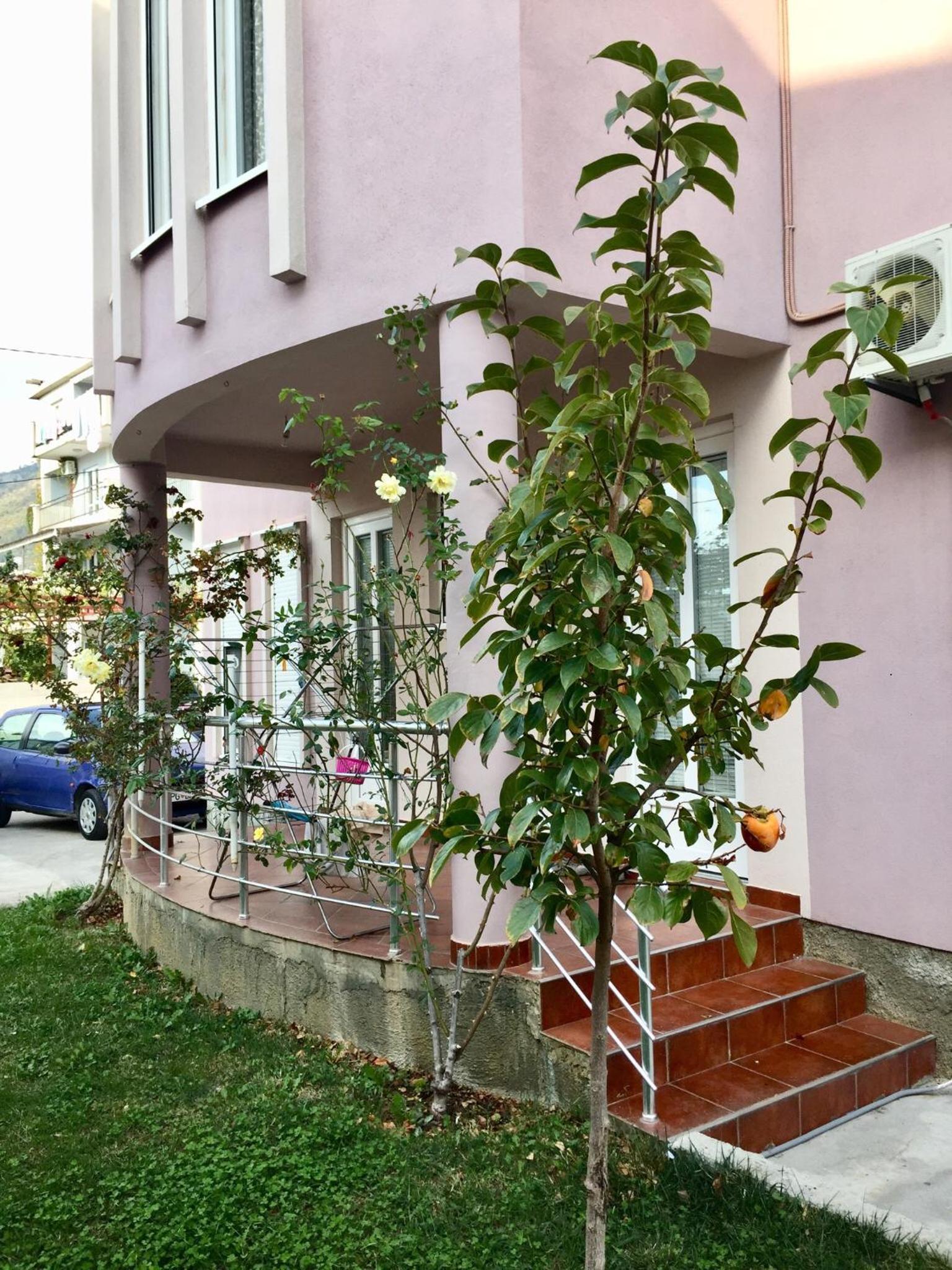 Apartmani Milanovic Susanj view 5