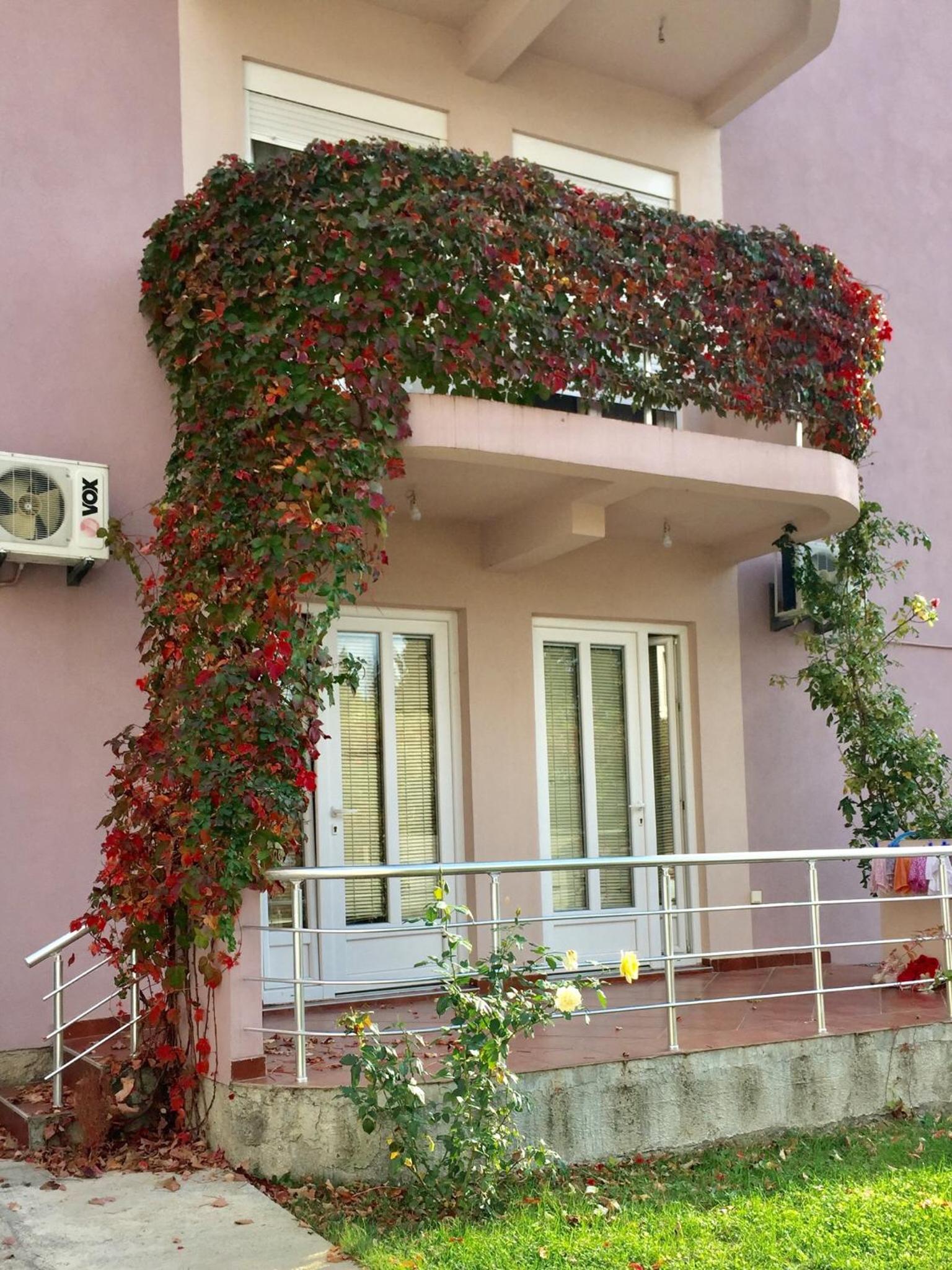 Apartmani Milanovic Susanj view 3