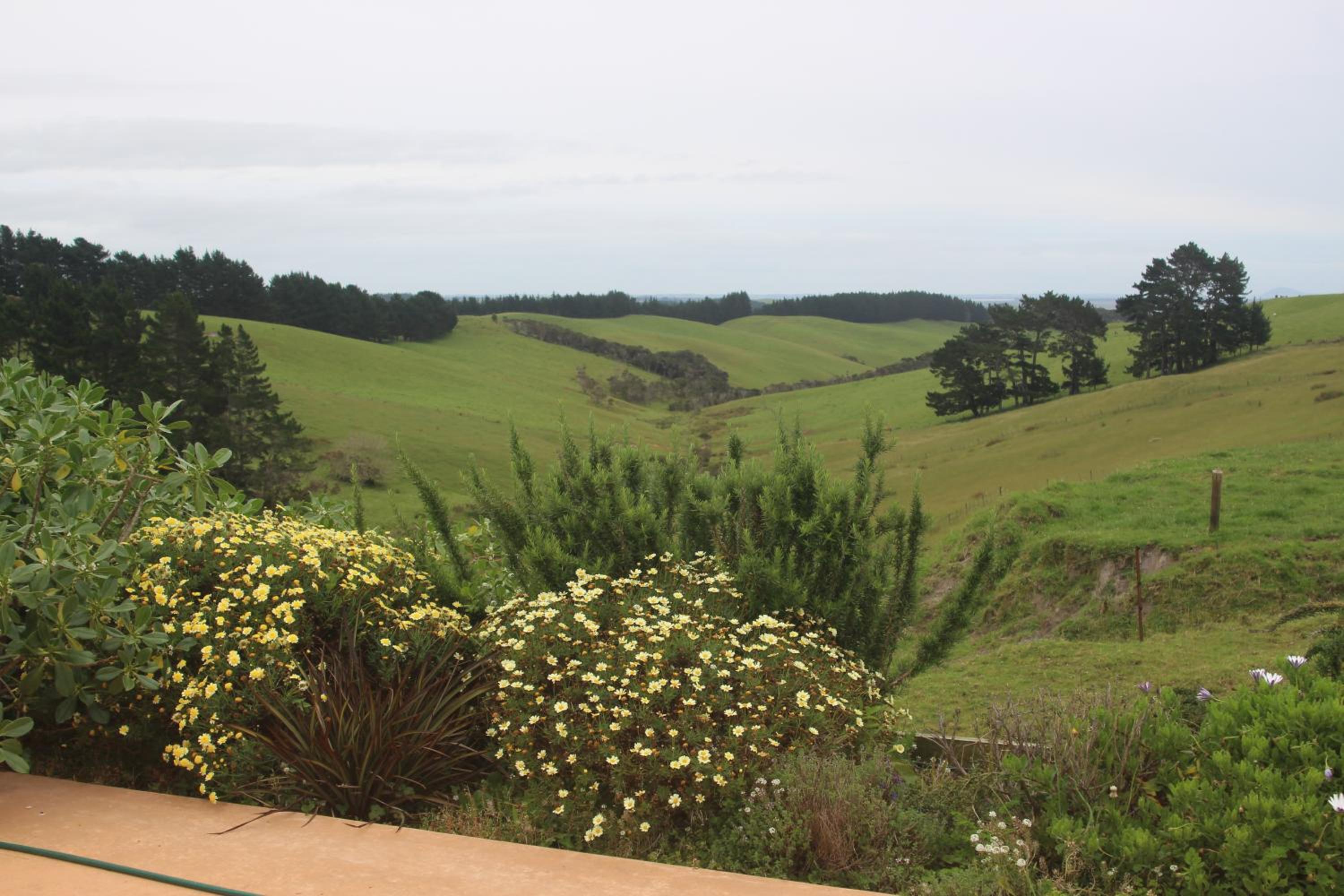High Ridge House view 4