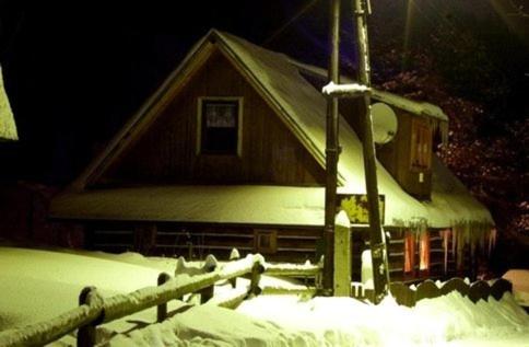 Originalna Drevenica Jezersko 43