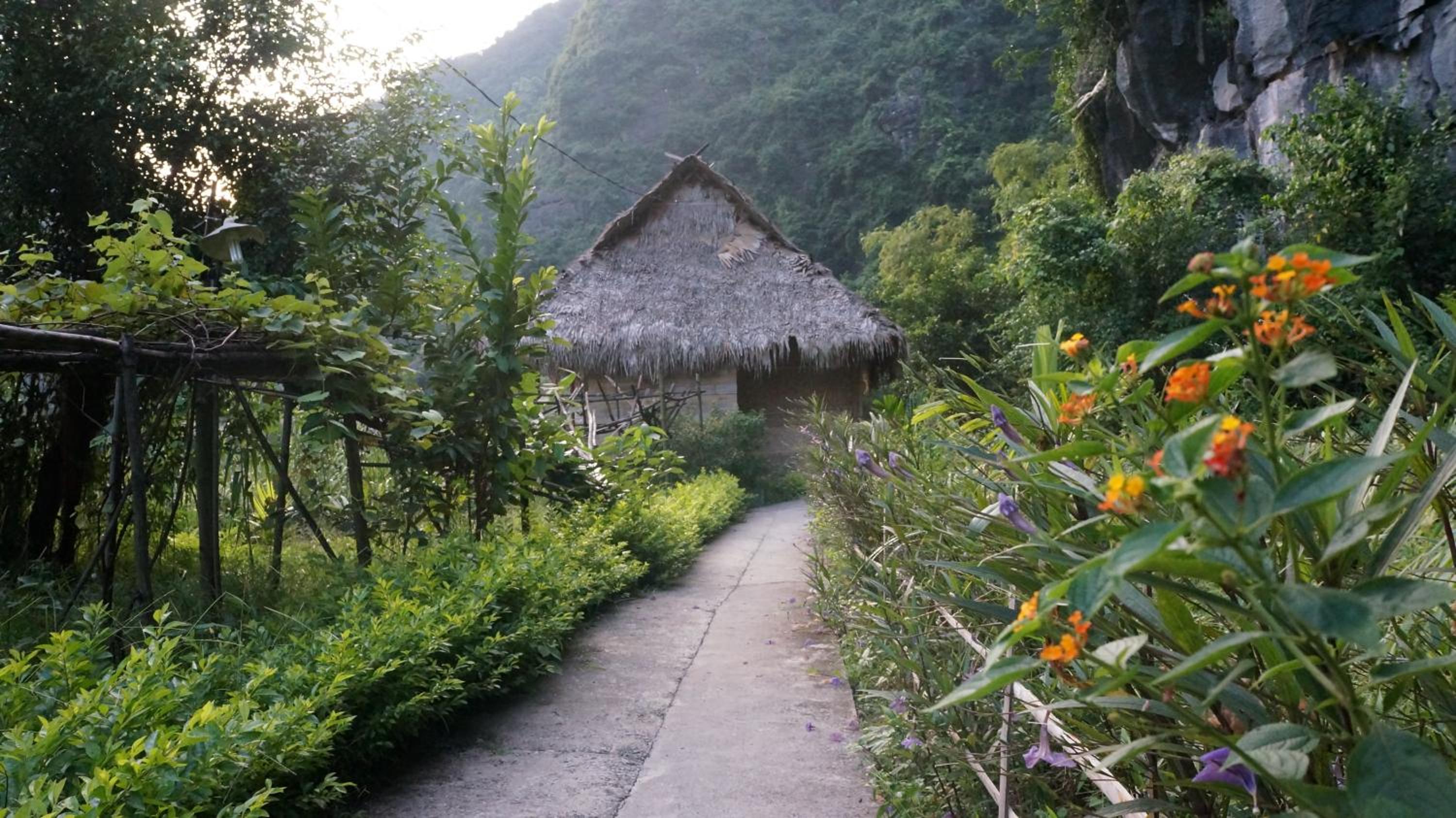 Ninh Binh Valley Homestay