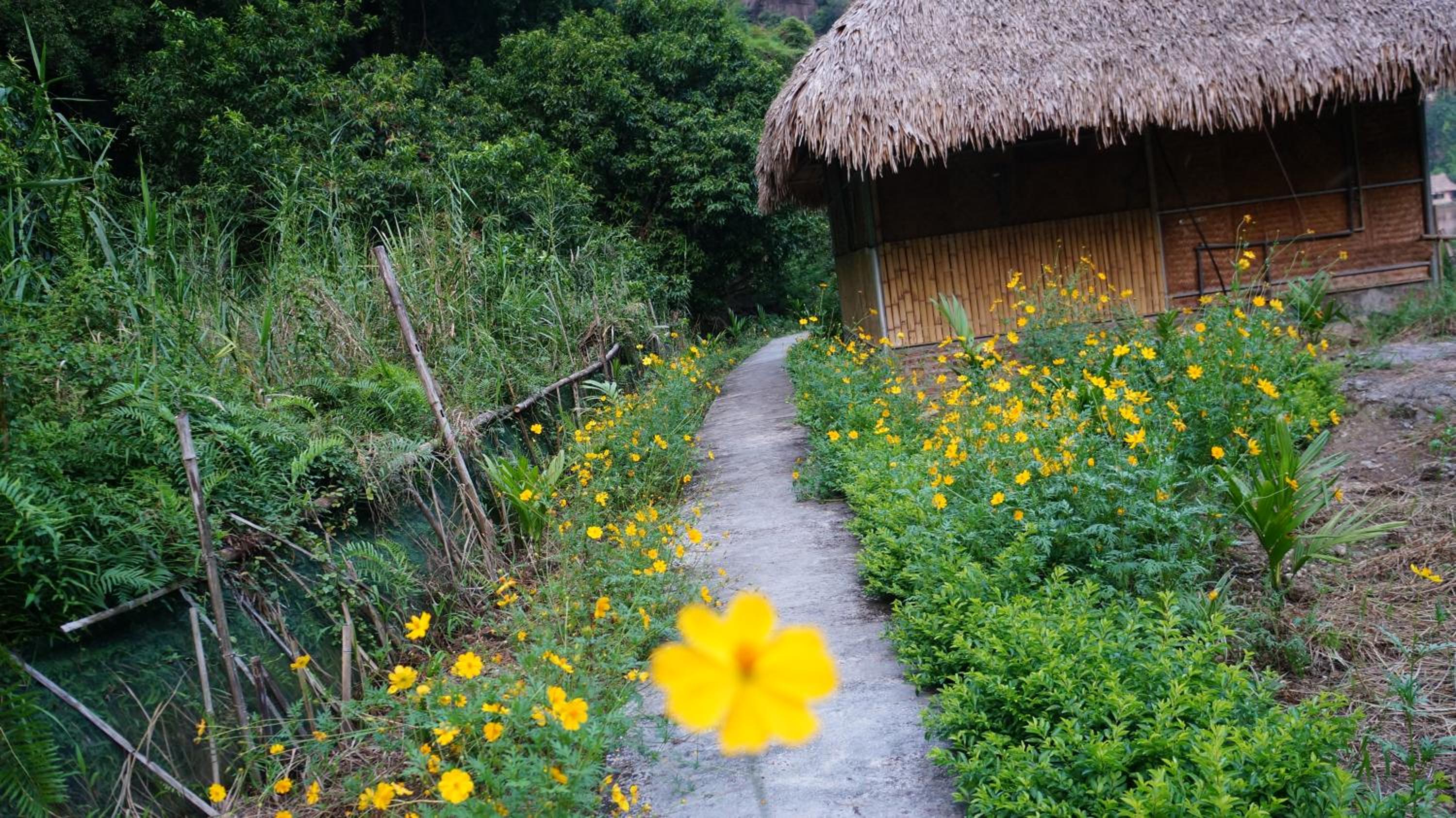 Ninh Binh Valley Homestay