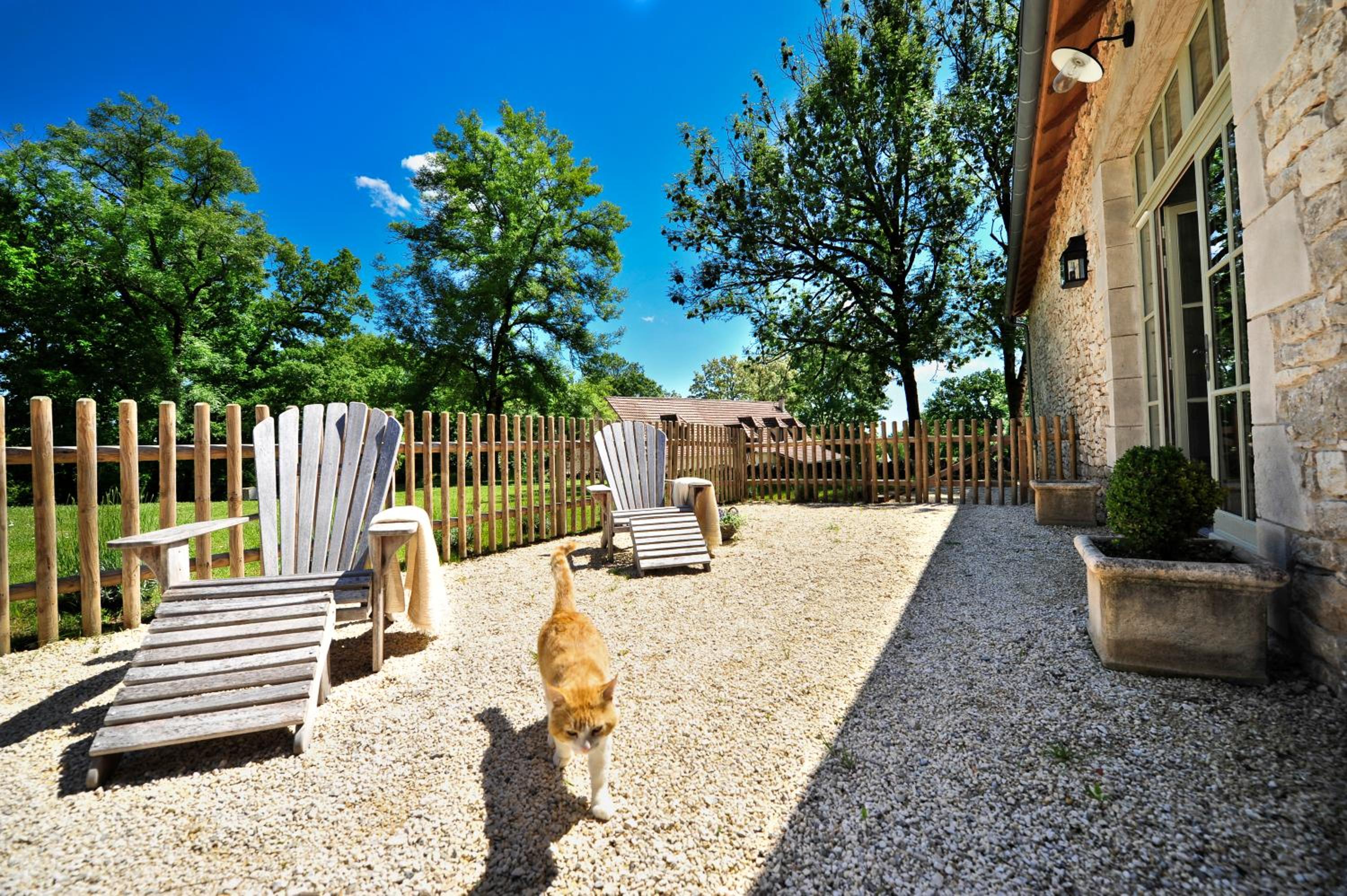 Photo 59