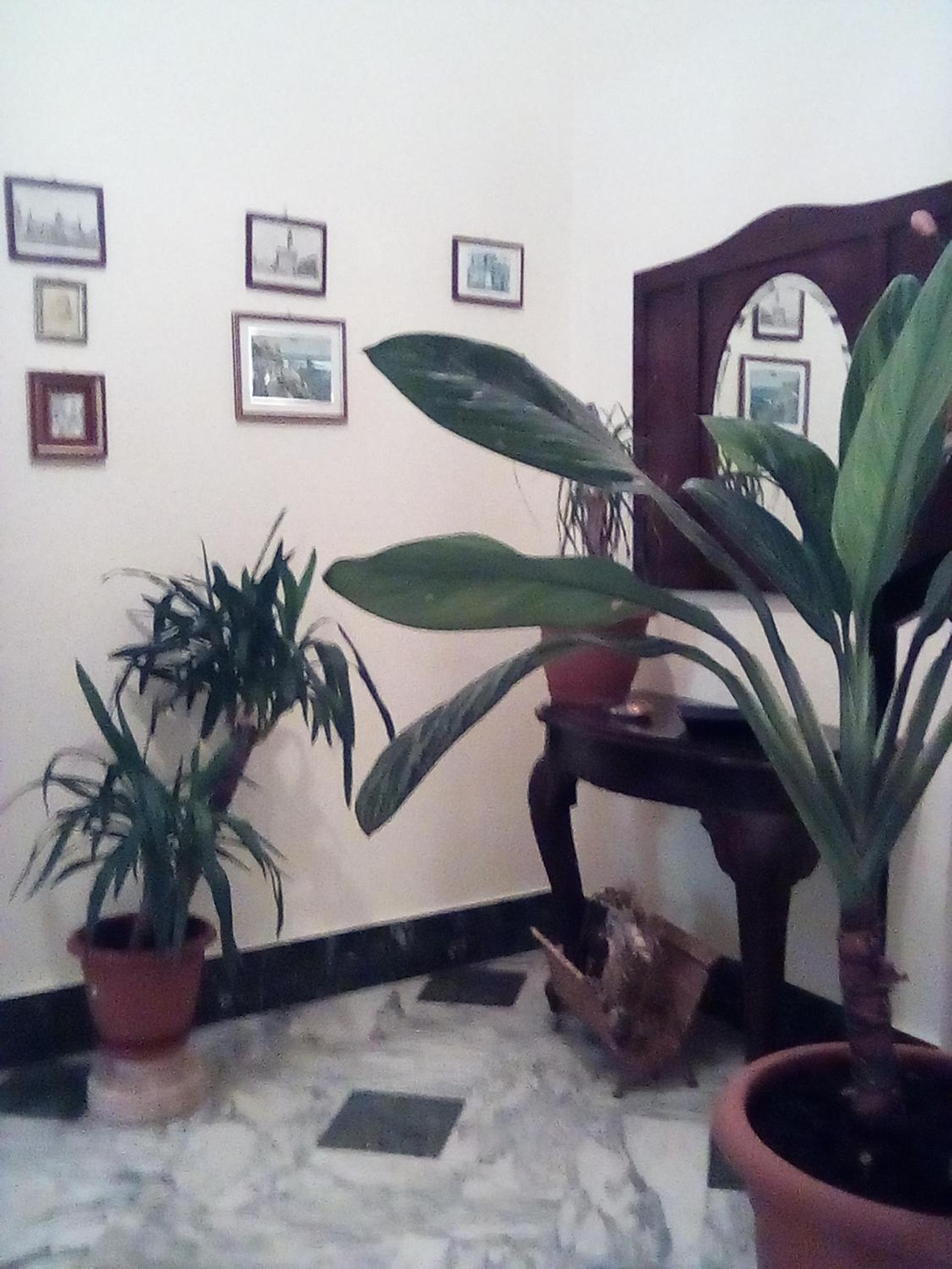 Photo 34