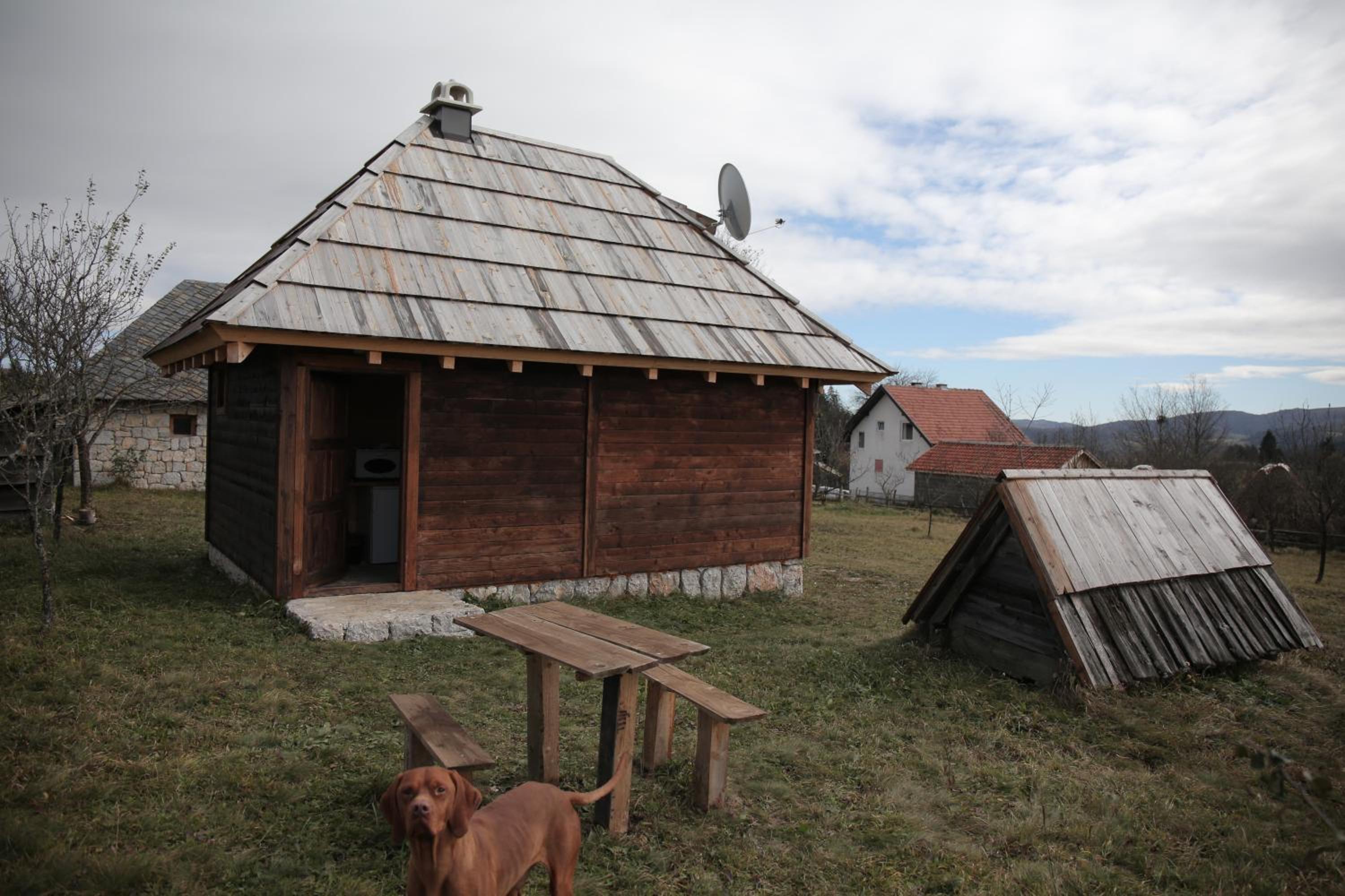 Photo 8