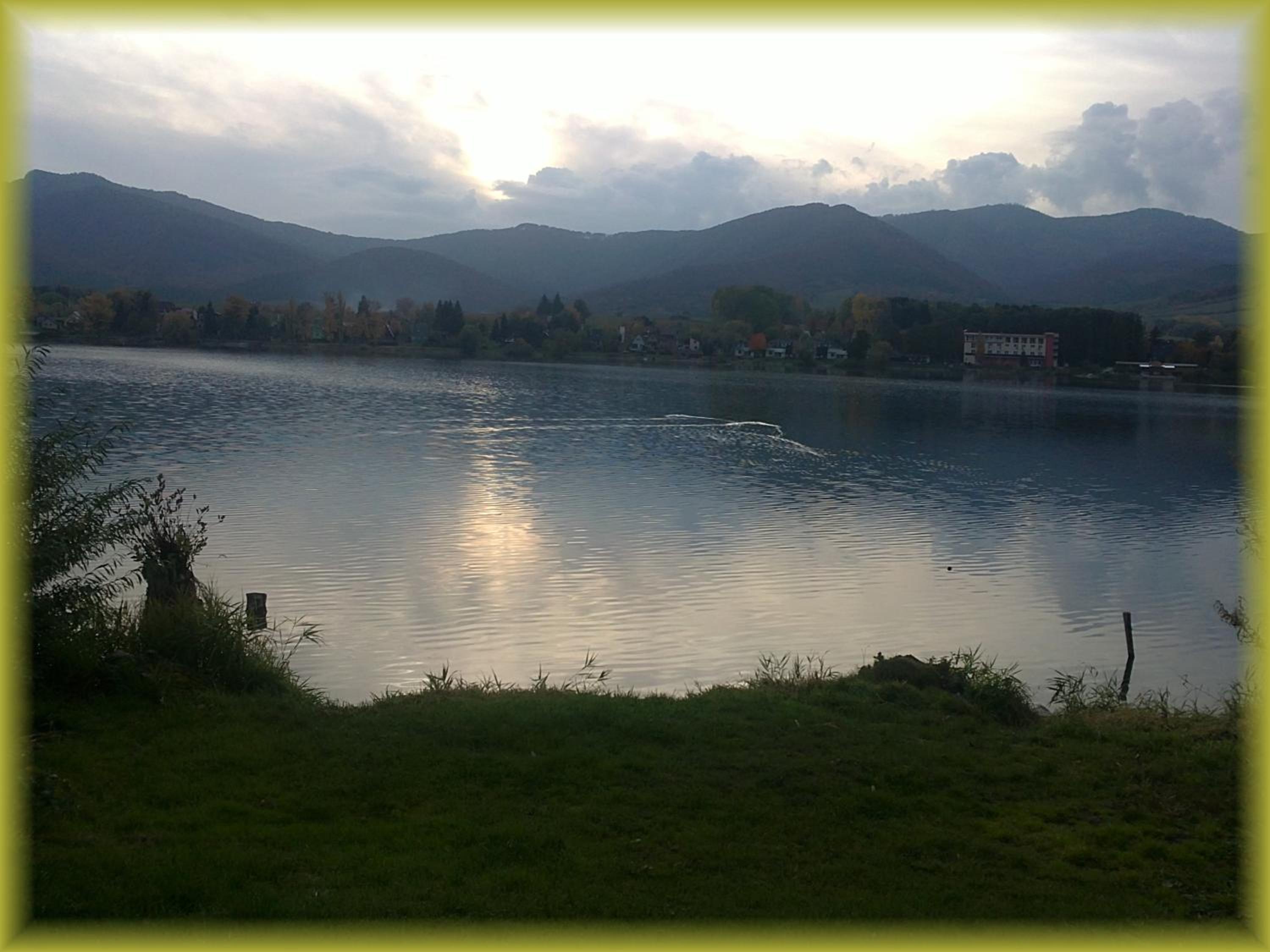 Photo 31