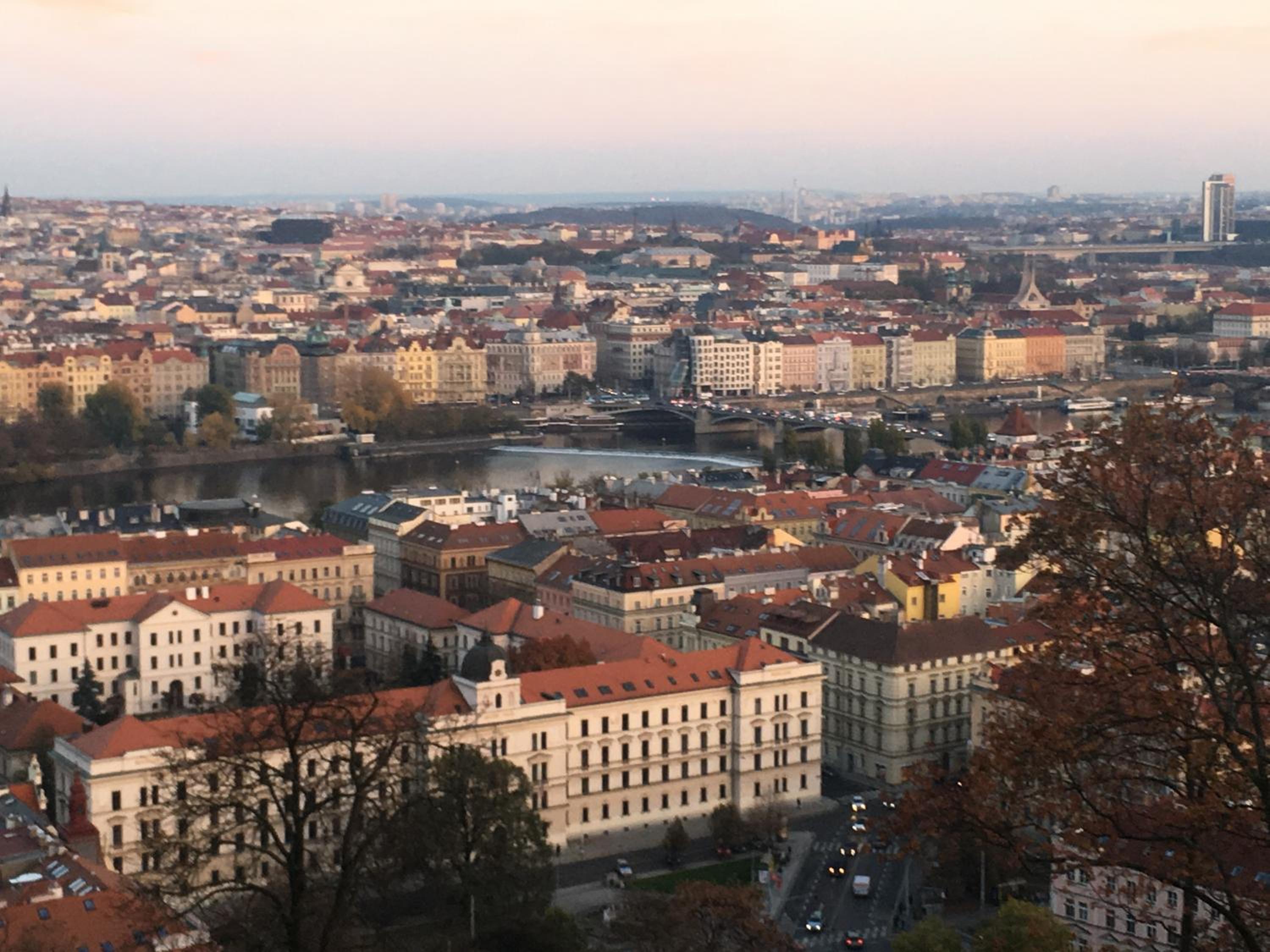 Exclusive apartment on Zborovska