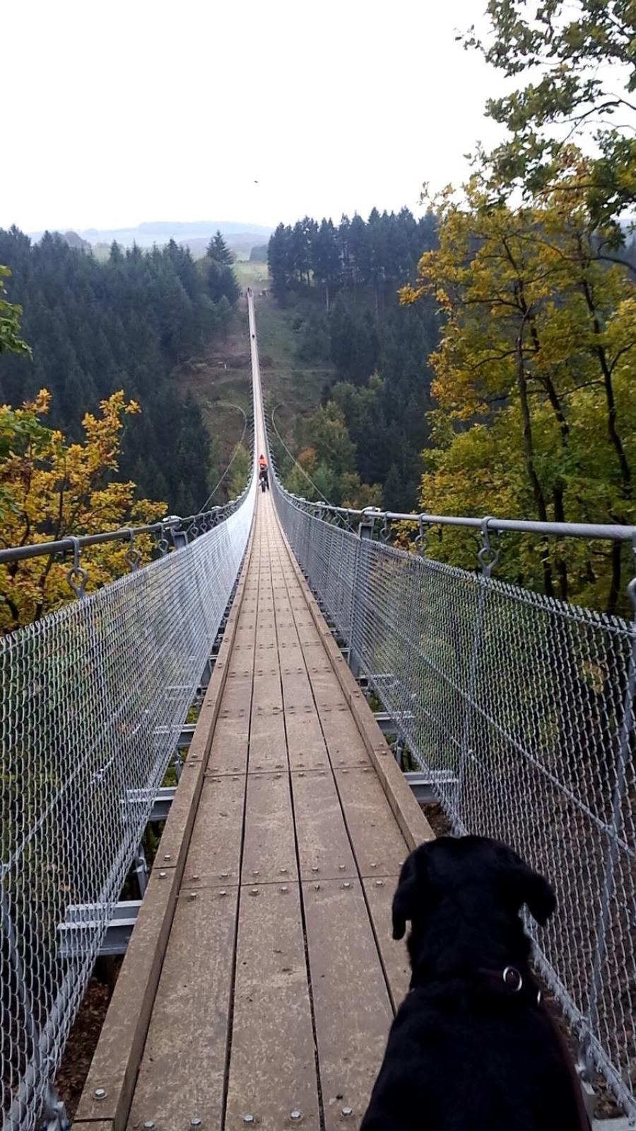Petryhof view 4