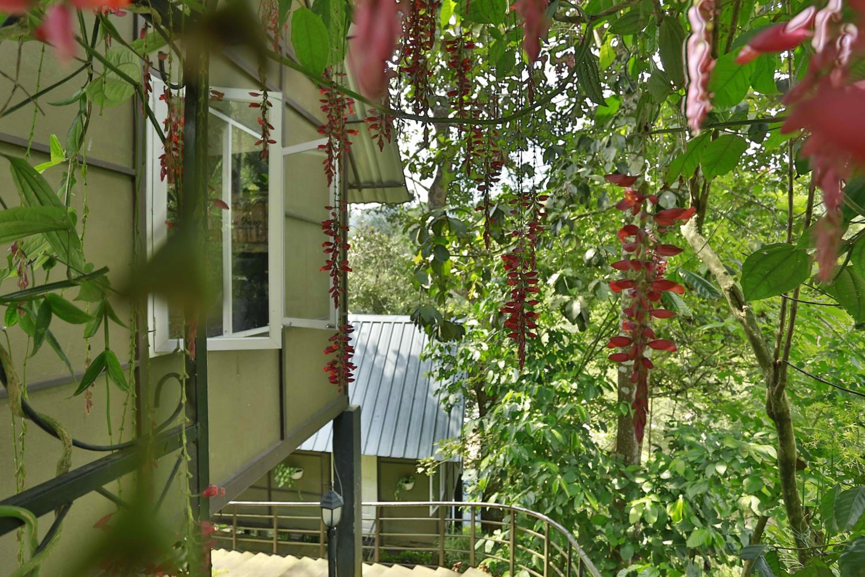 Moselberg Riverside Cottages