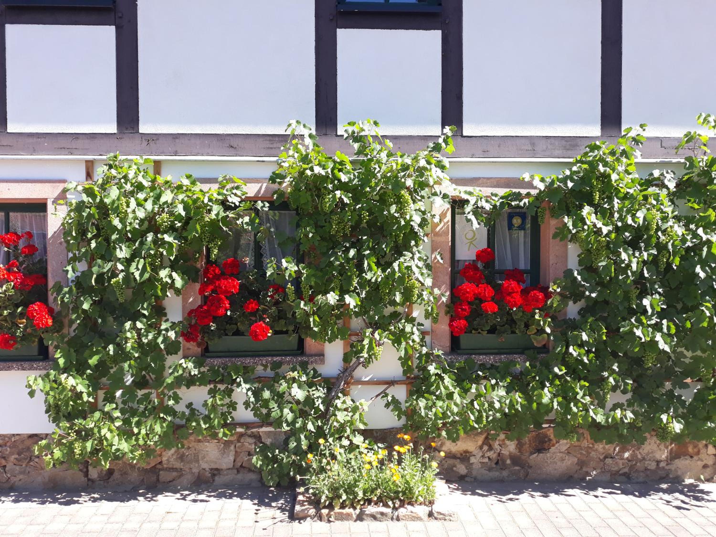 Balancehaus Kohren-Sahlis, dein Kurhaus in Sachsen