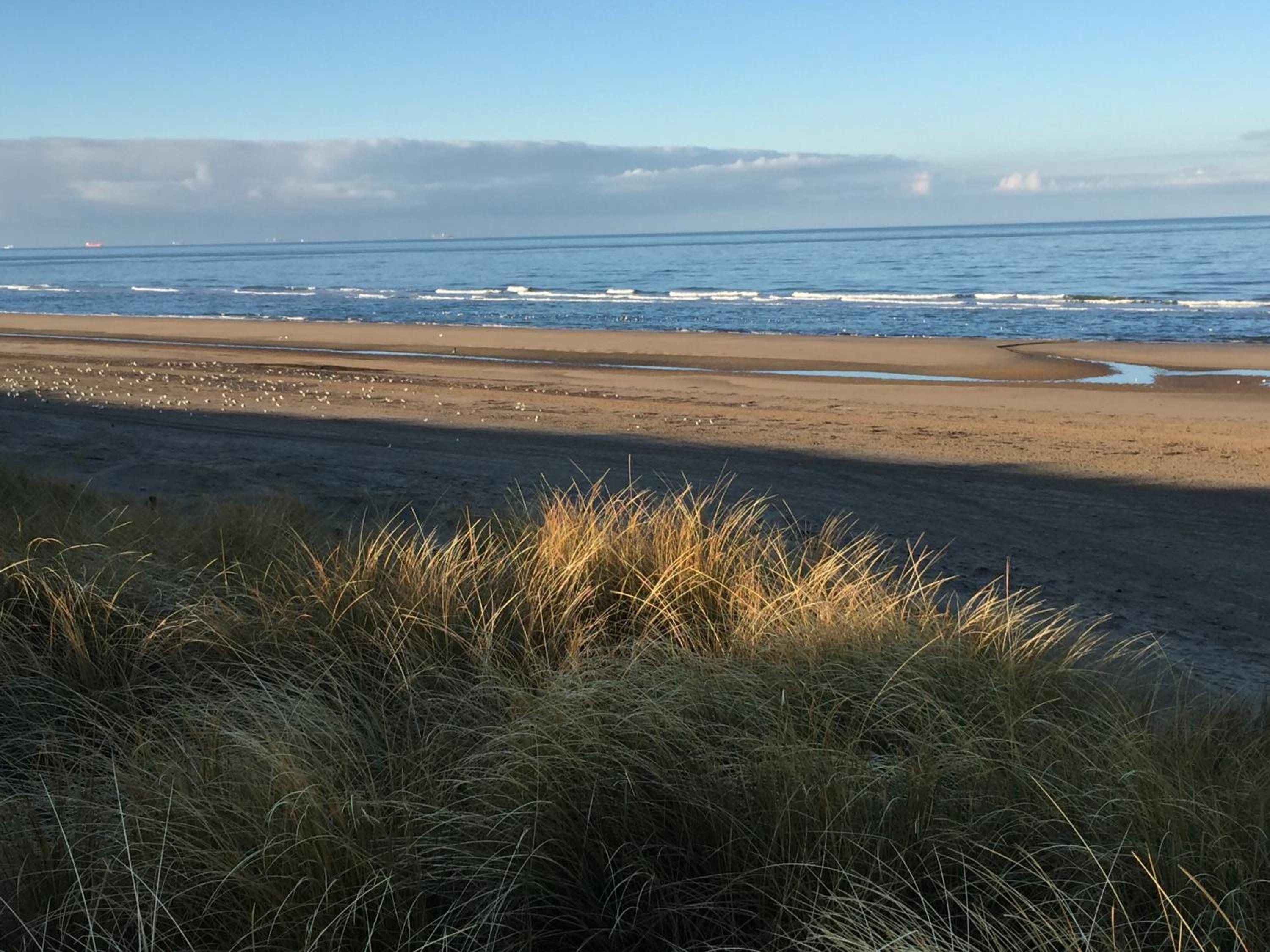 Zilt Noordwijk