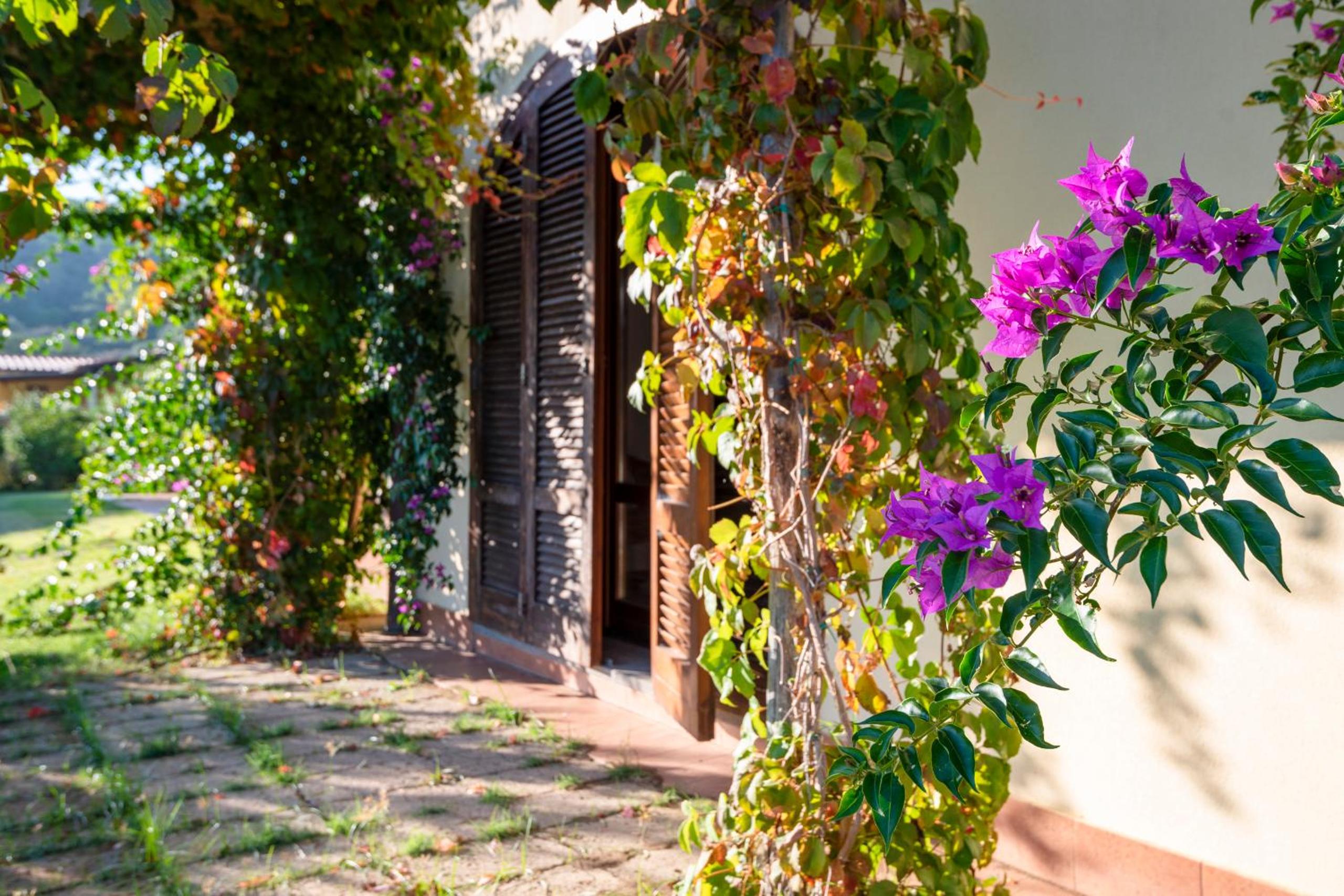 Agriturismo Terre di Castiglione view 3