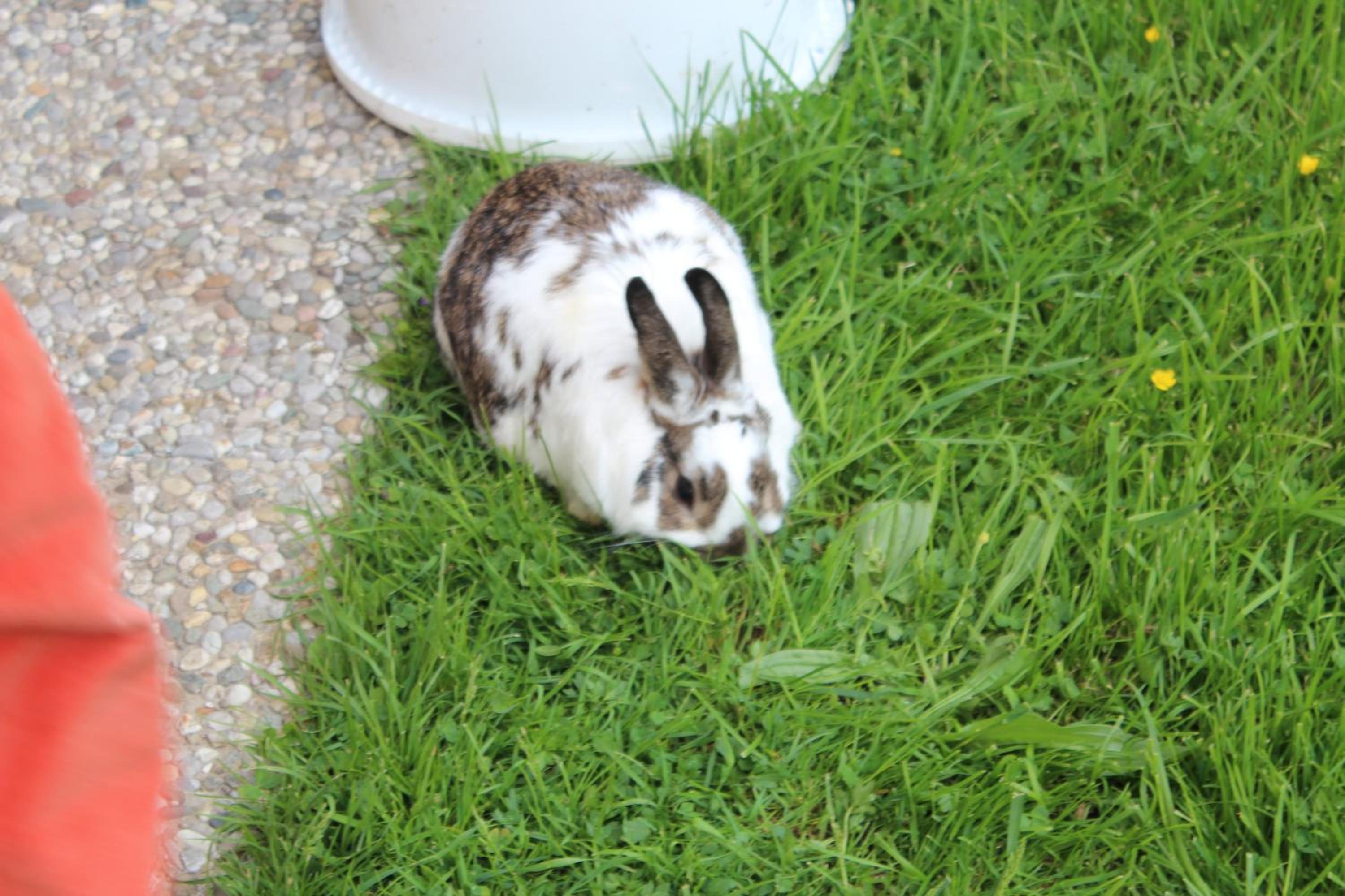 Photo 12