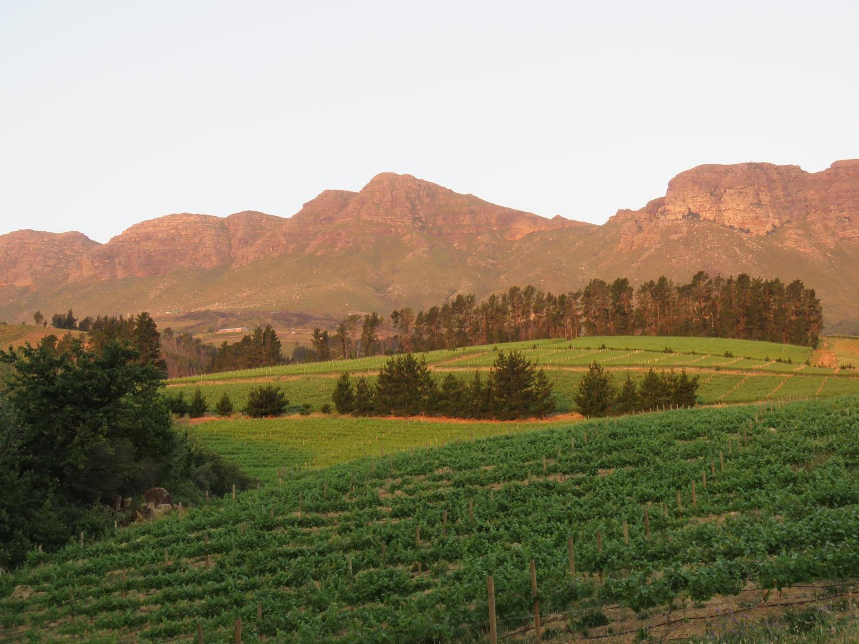 Modderkloof Farm Accommodation view 5