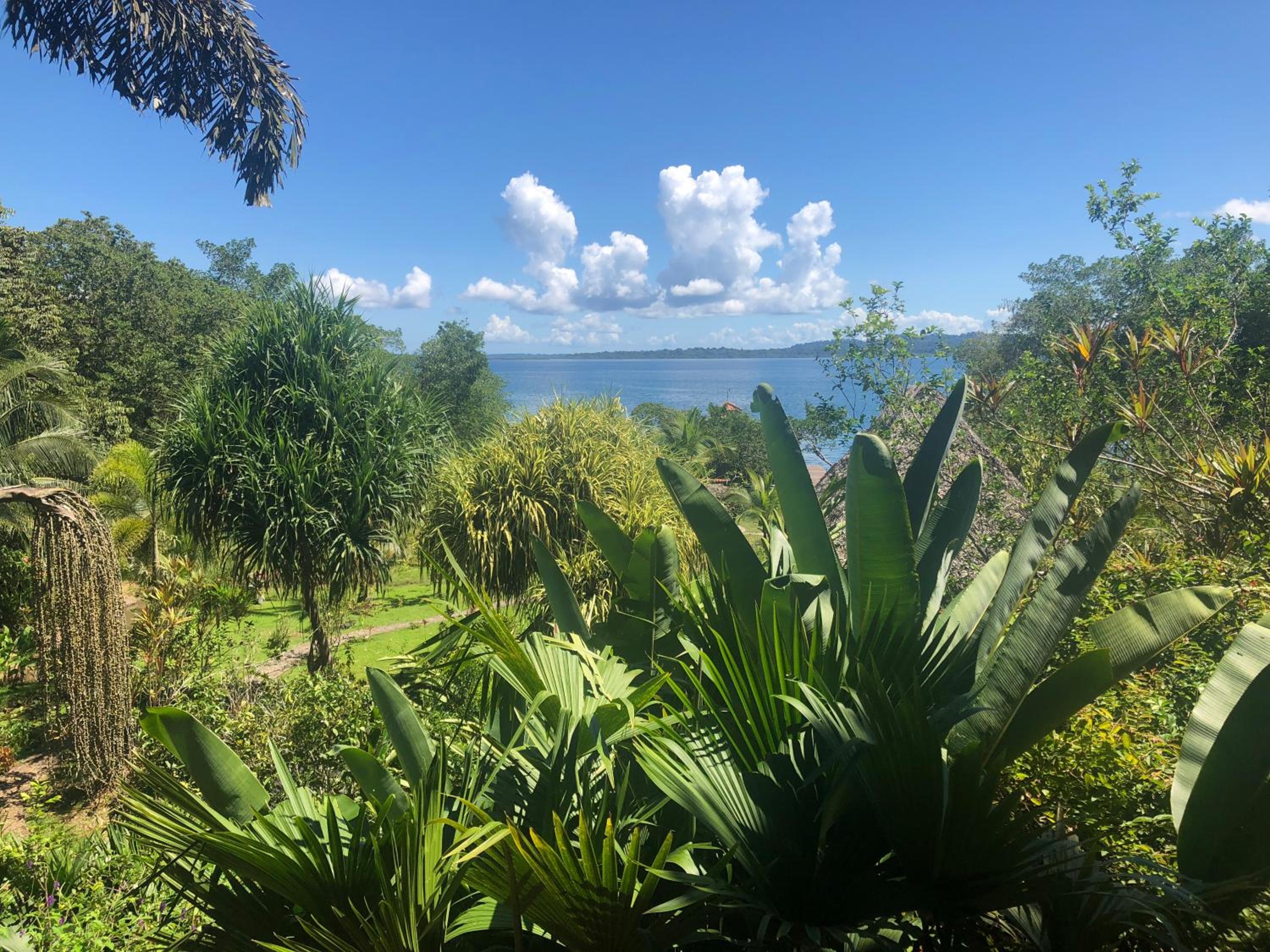 Dolphin Bay Hideaway
