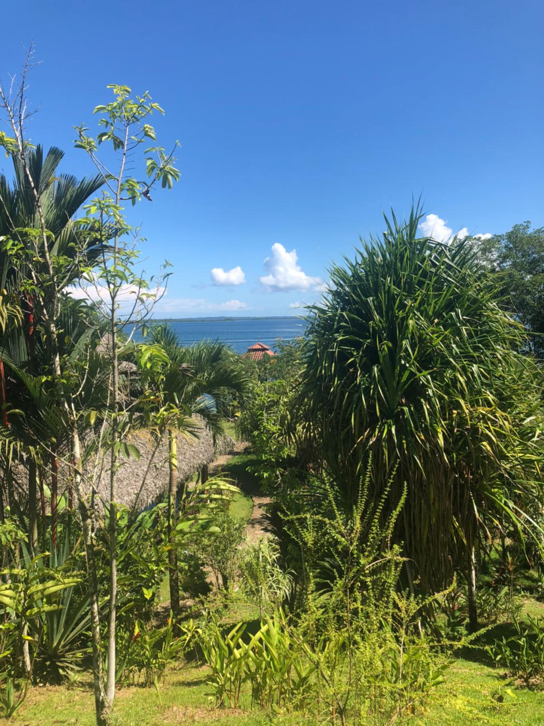 Dolphin Bay Hideaway