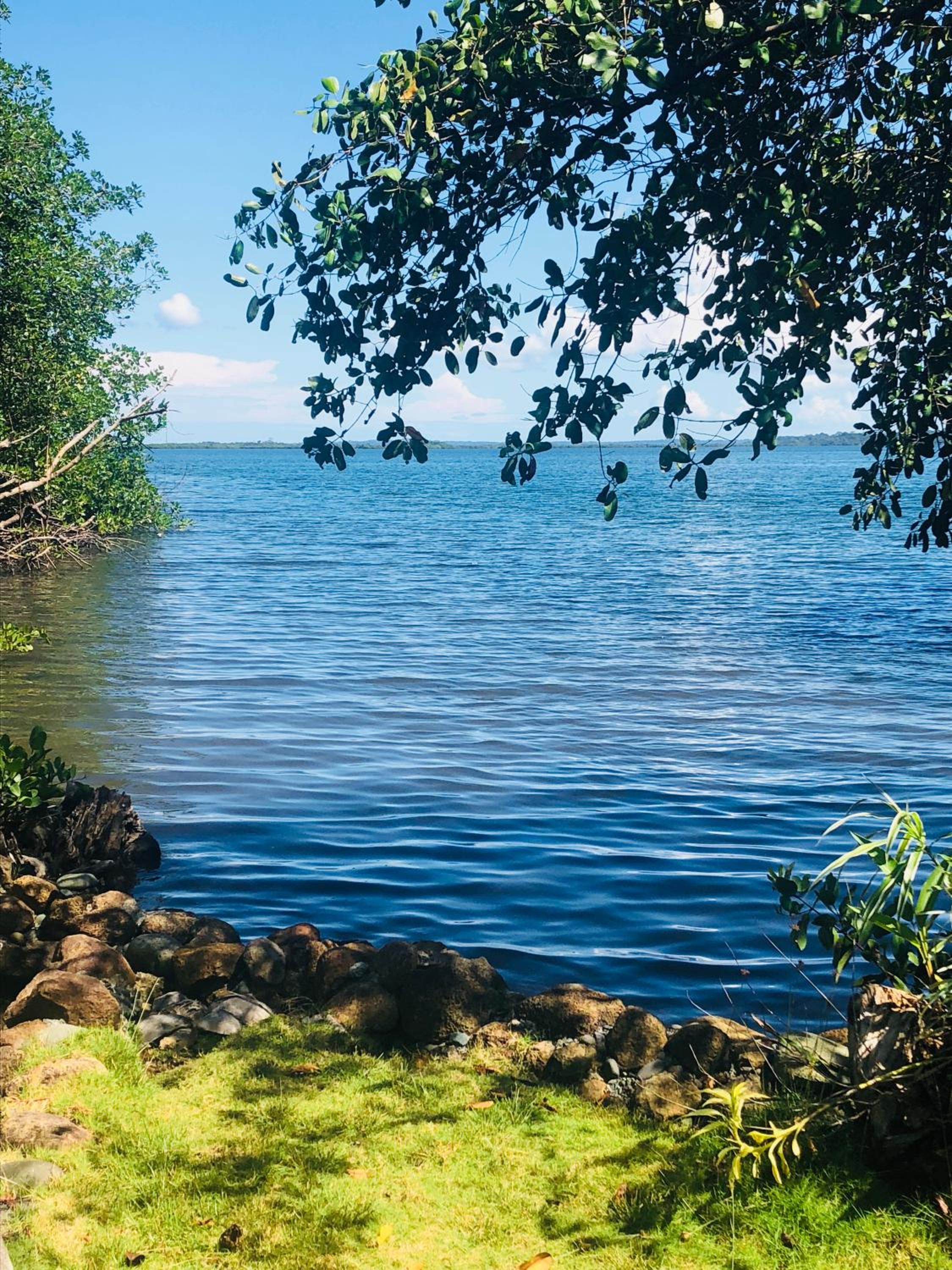 Dolphin Bay Hideaway