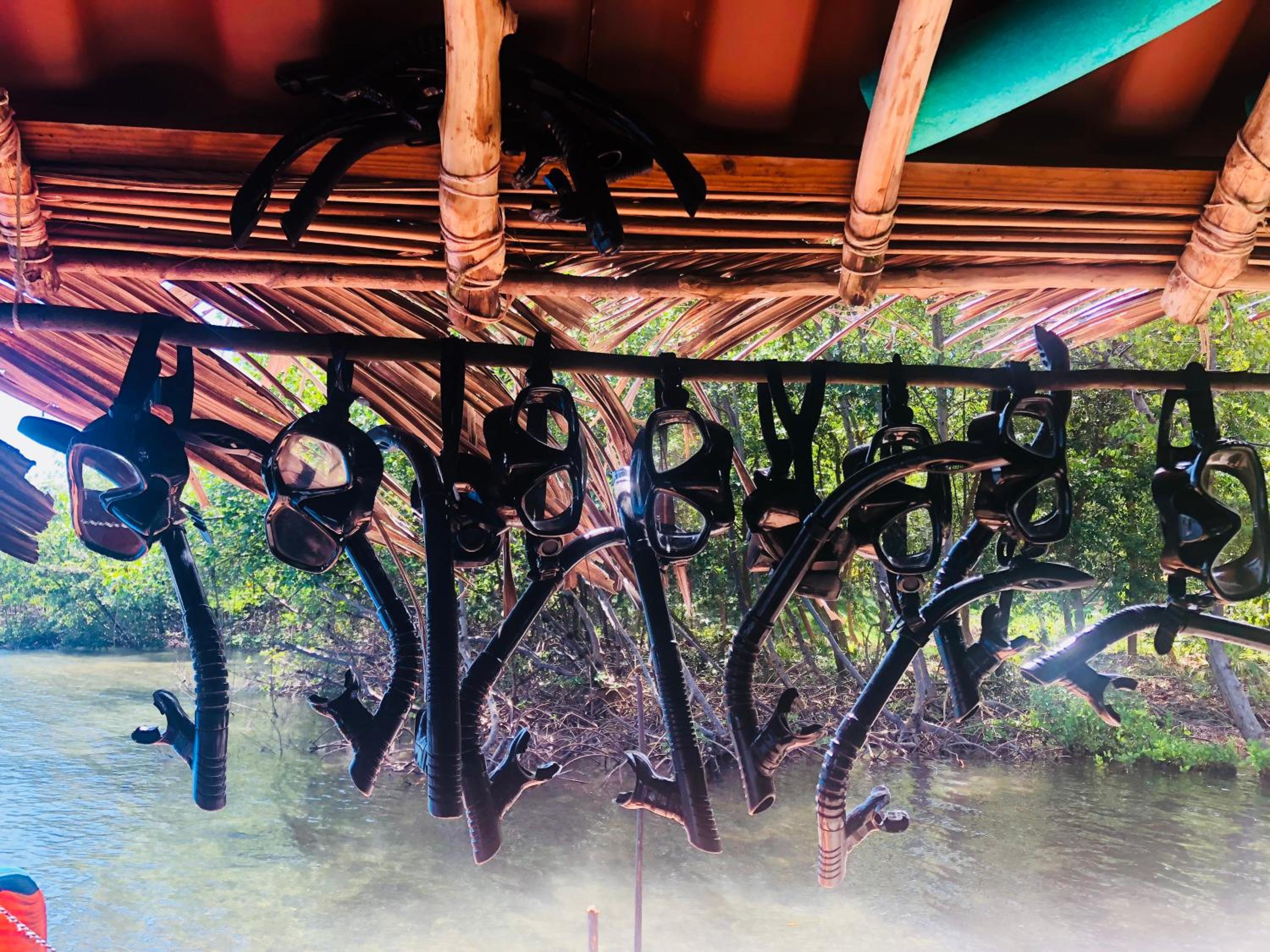 Dolphin Bay Hideaway