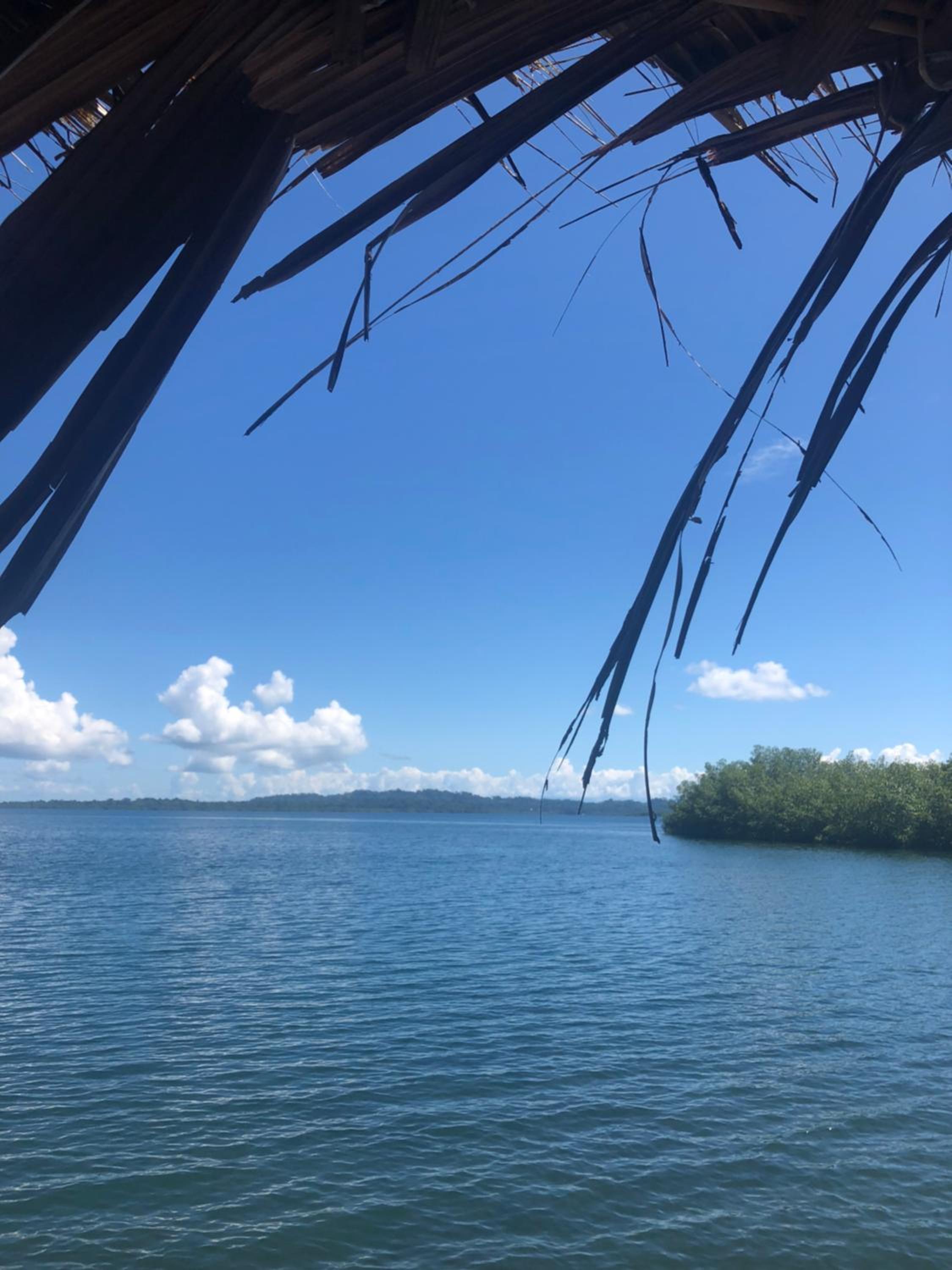 Dolphin Bay Hideaway