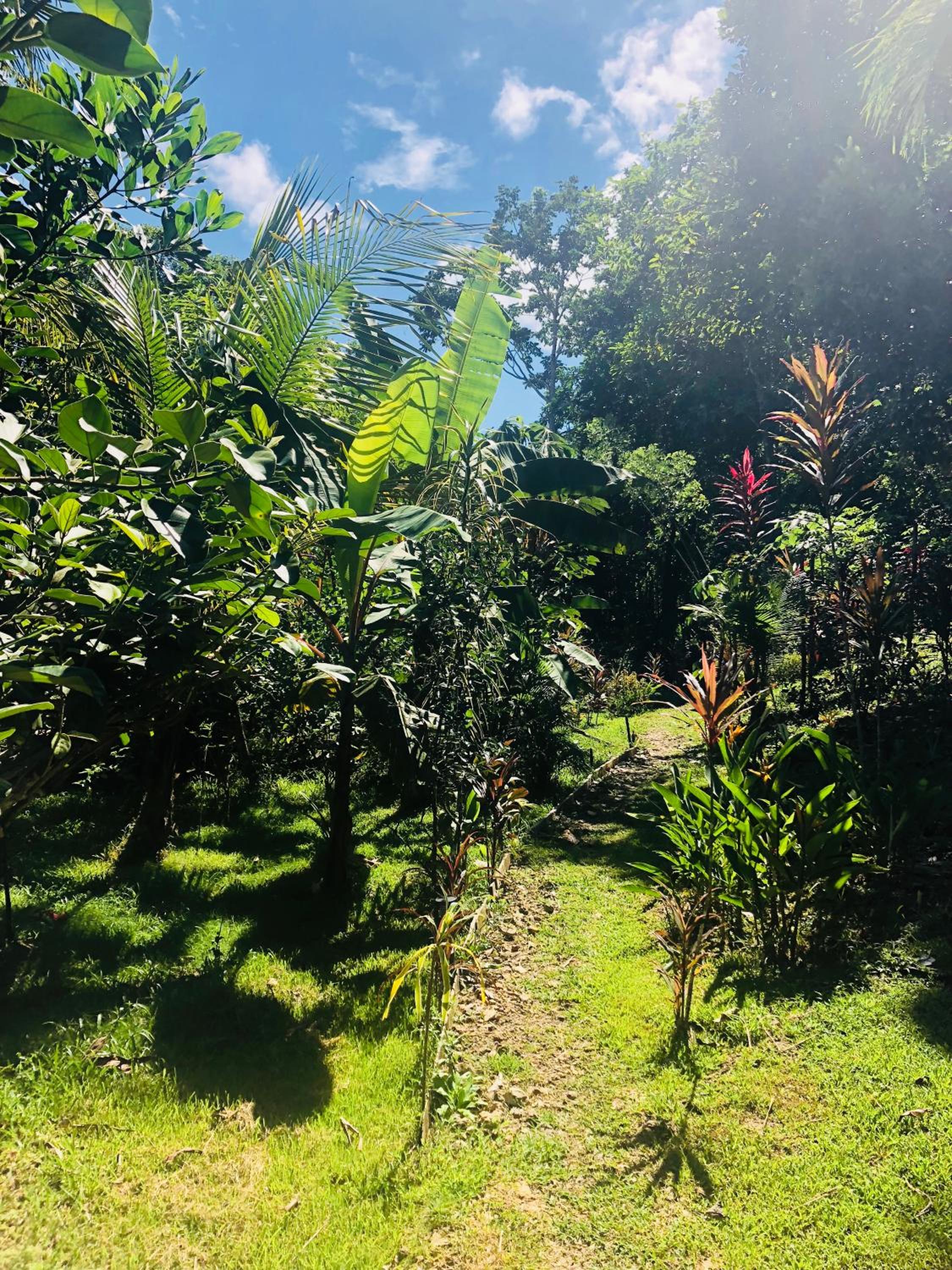 Dolphin Bay Hideaway
