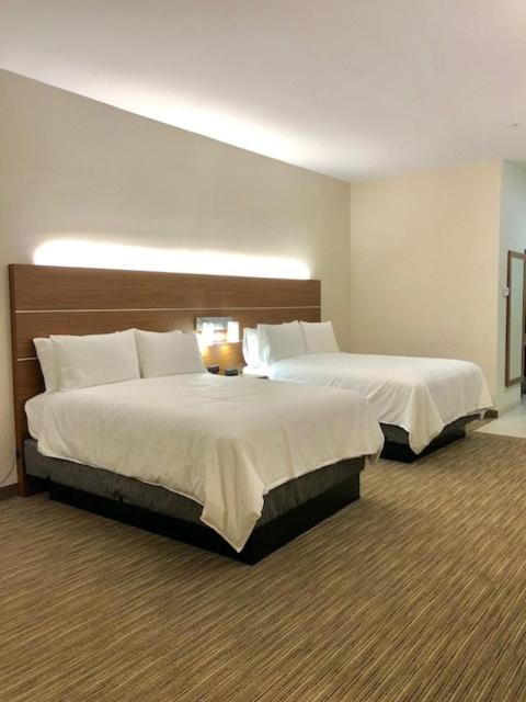 Longview Vacations - Holiday Inn Express Suites Longview South I-20, an IHG Hotel - Property Image 25