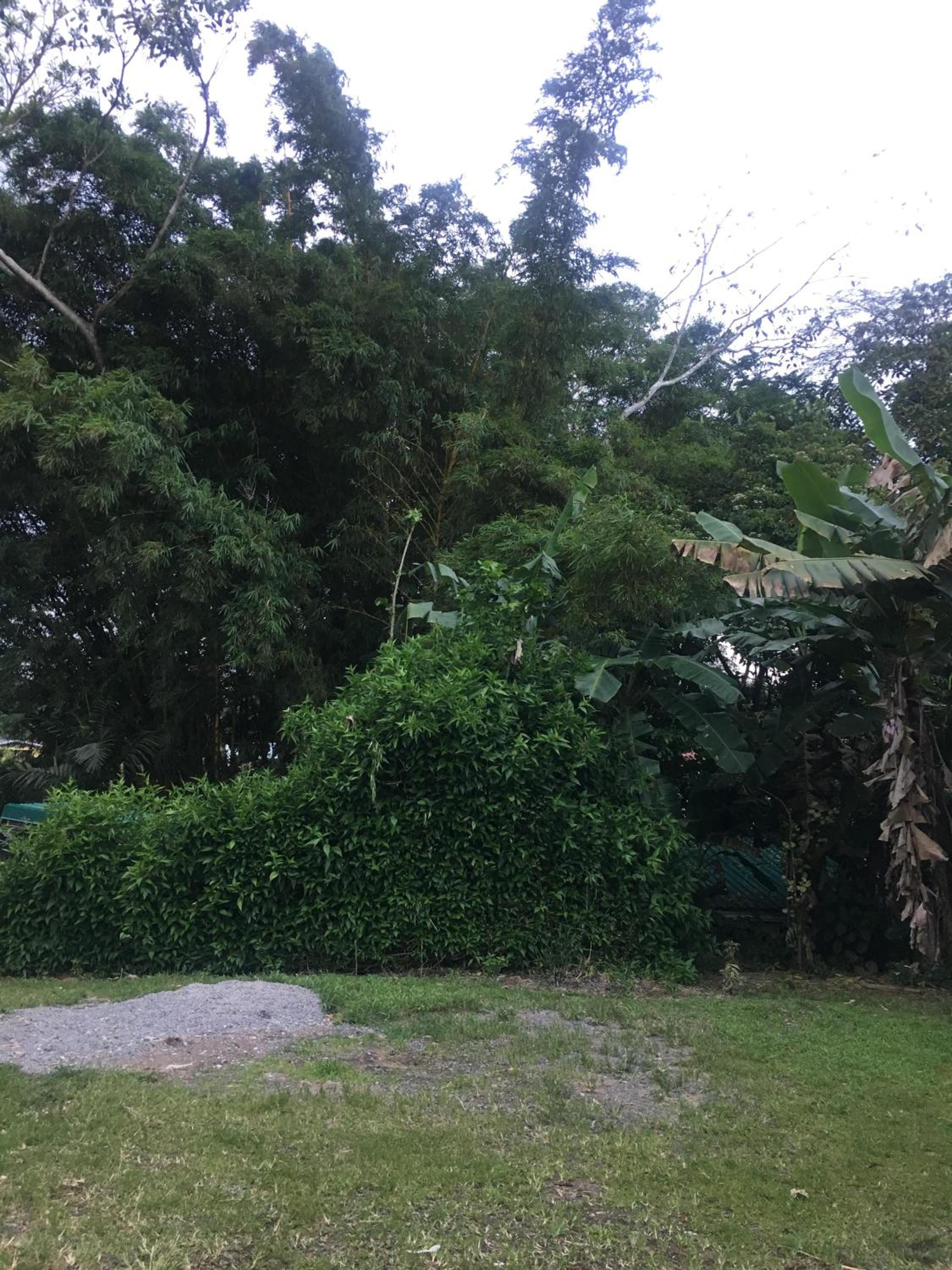 Hostel Orozco - Costa Rica