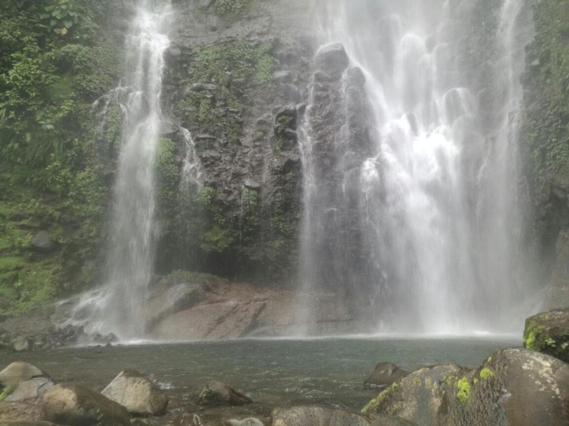 Hostel Orozco - Costa Rica
