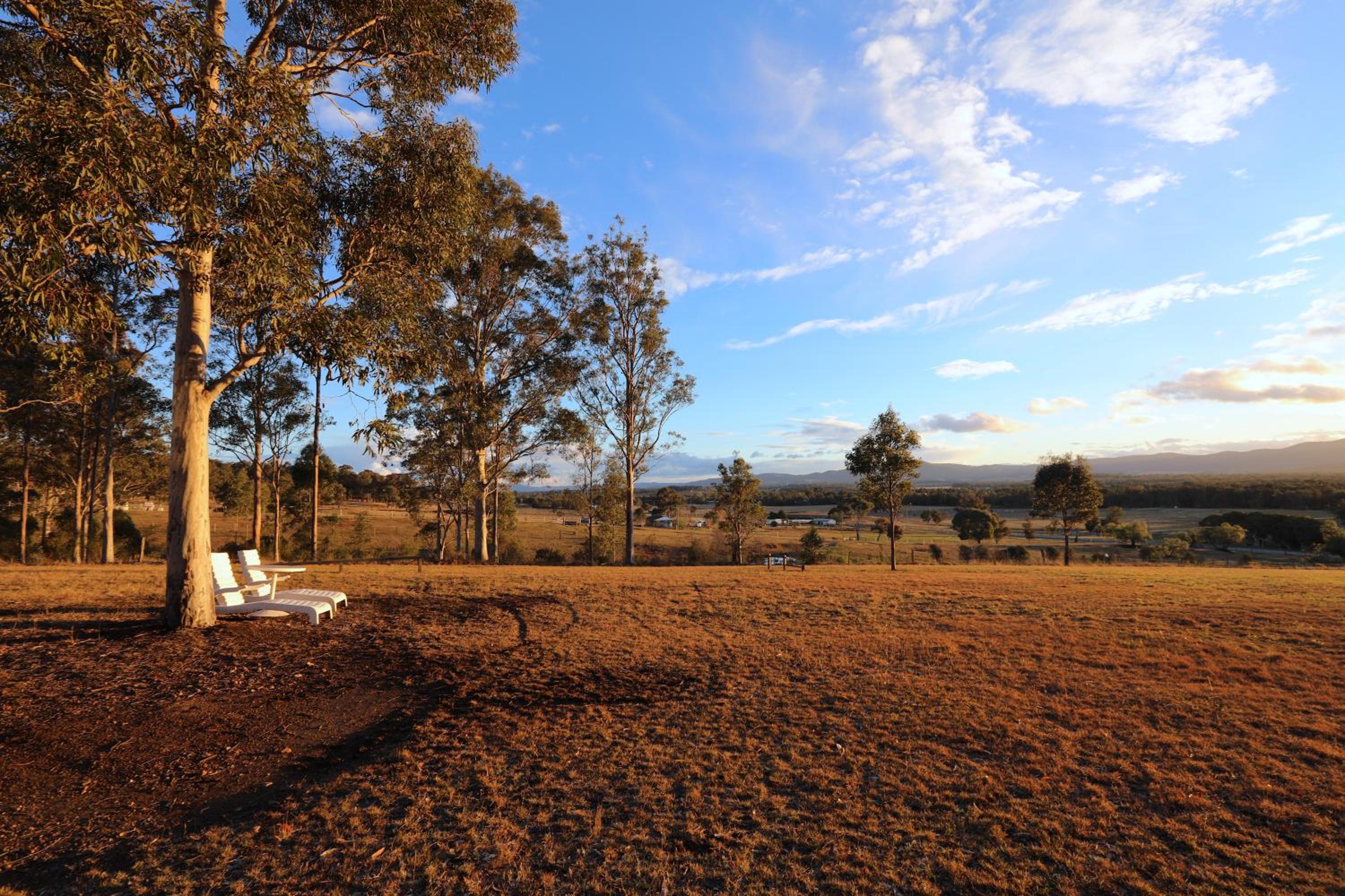 Vineyard Hill view 5