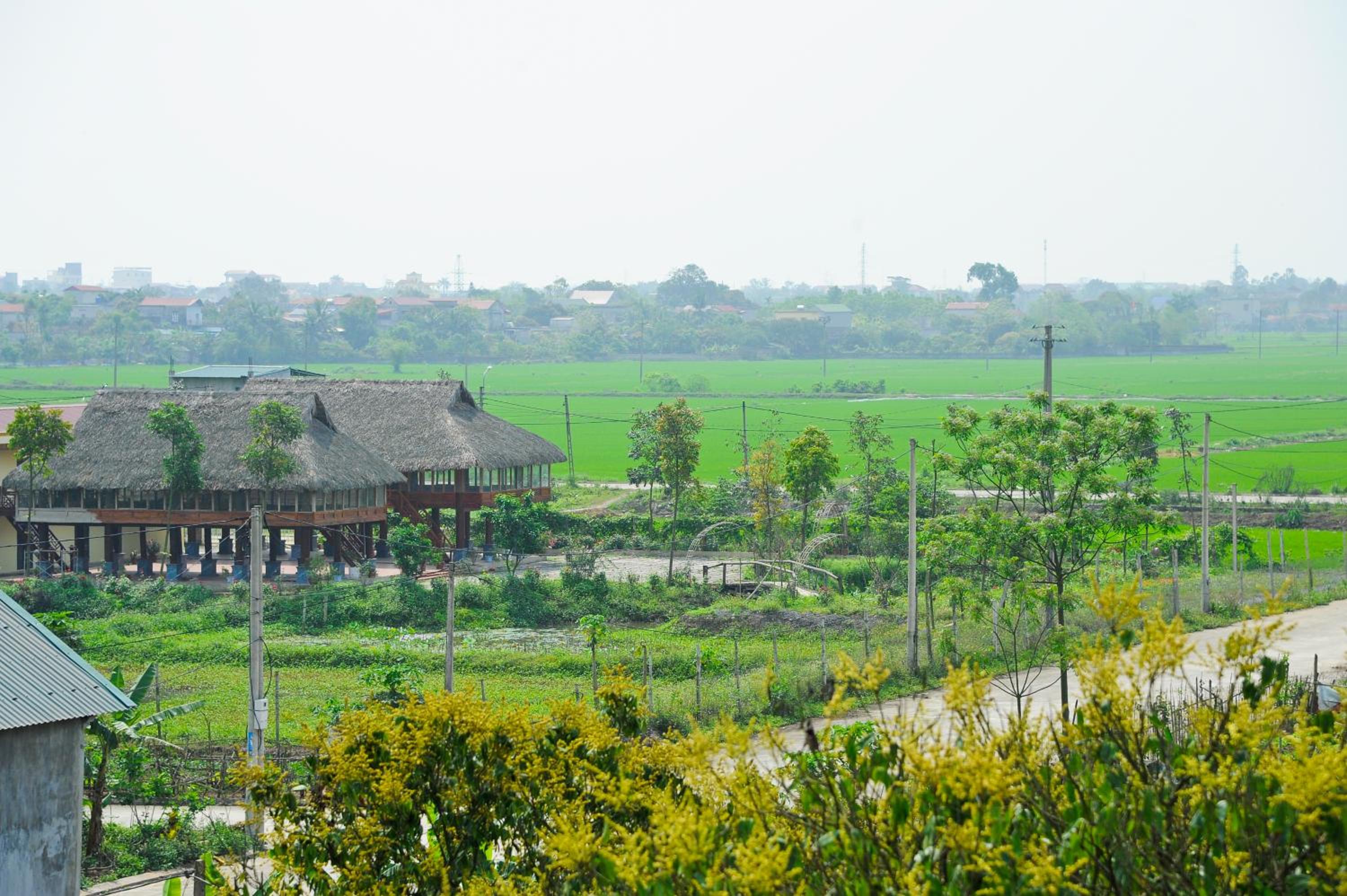 Hoang Giang Homestay