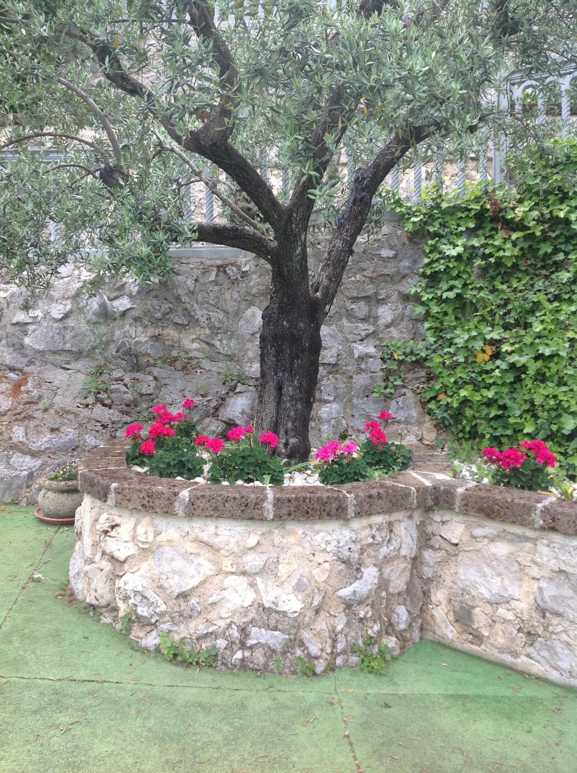 Photo 14