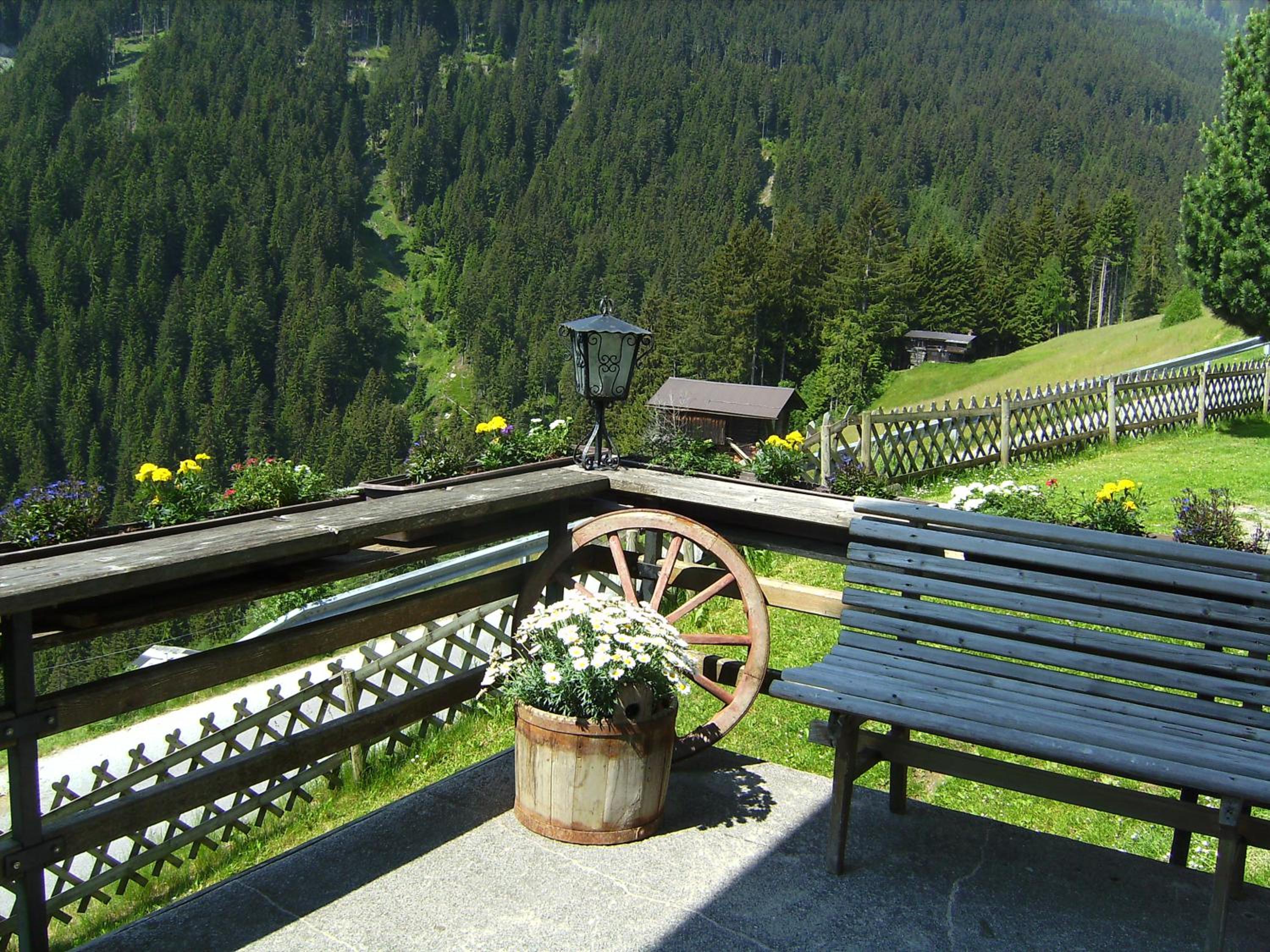 Photo 6
