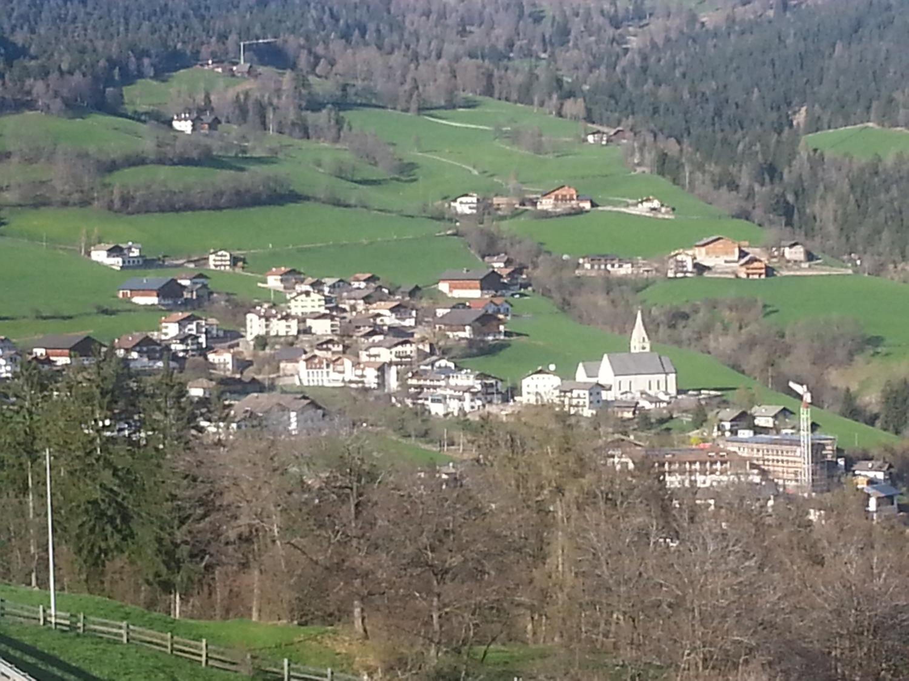 Photo 41