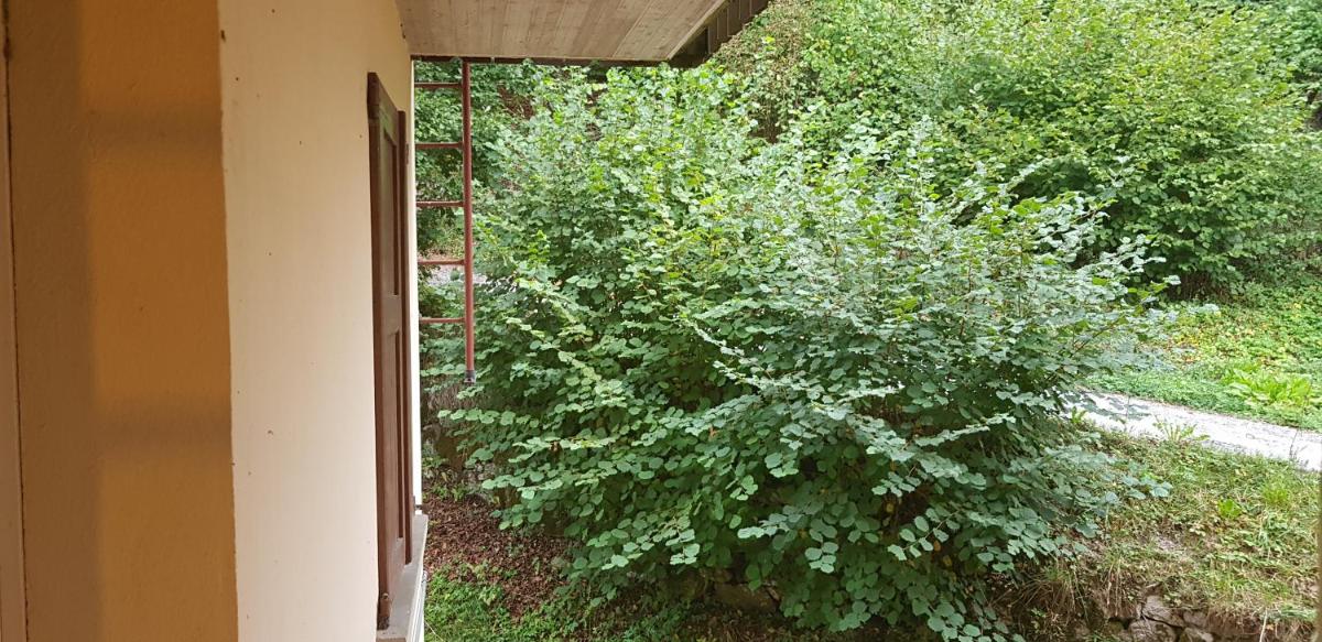 Casa vacanze in Trentino. Altopiano di Lavarone photo 3