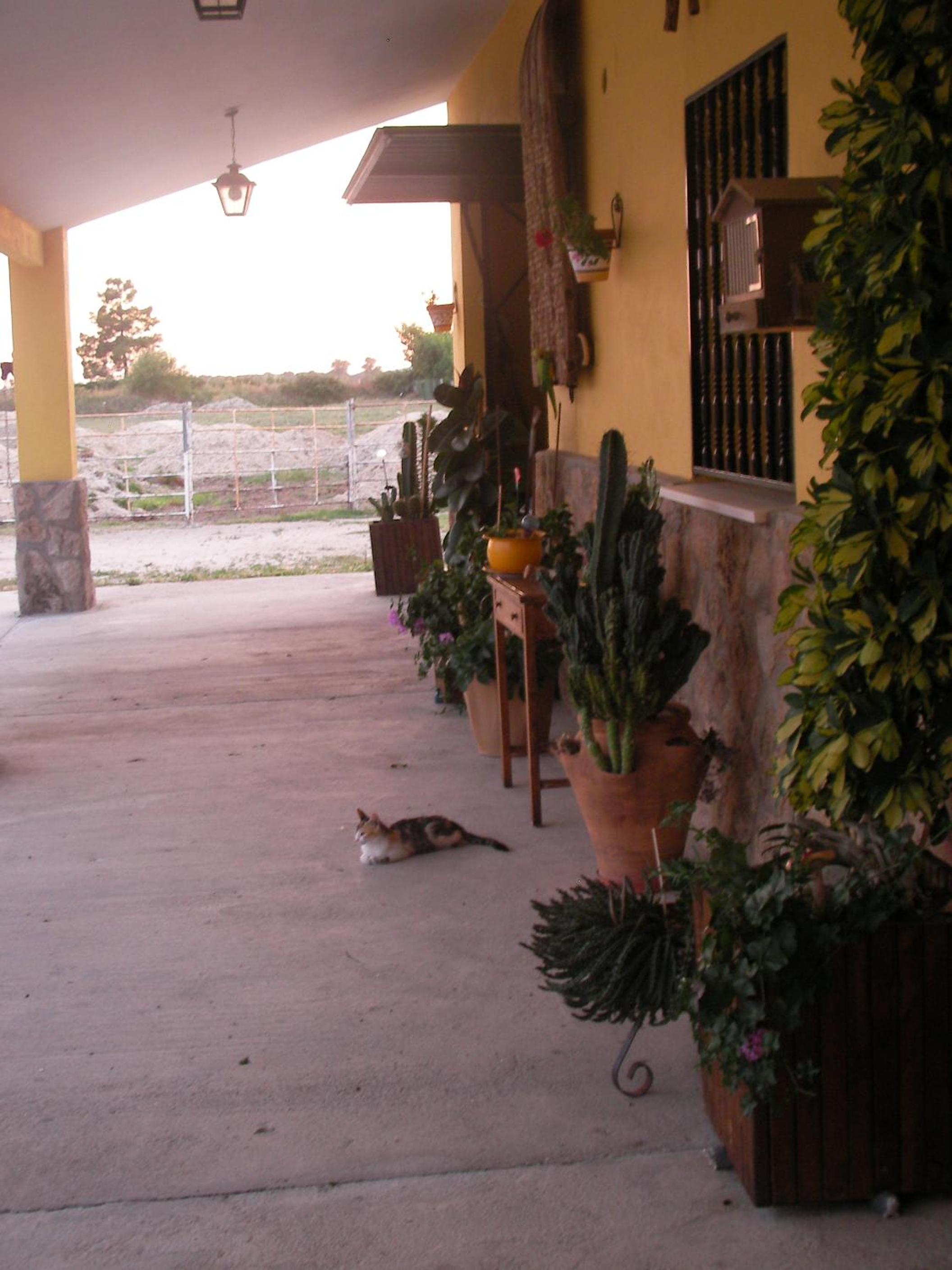 Photo 29
