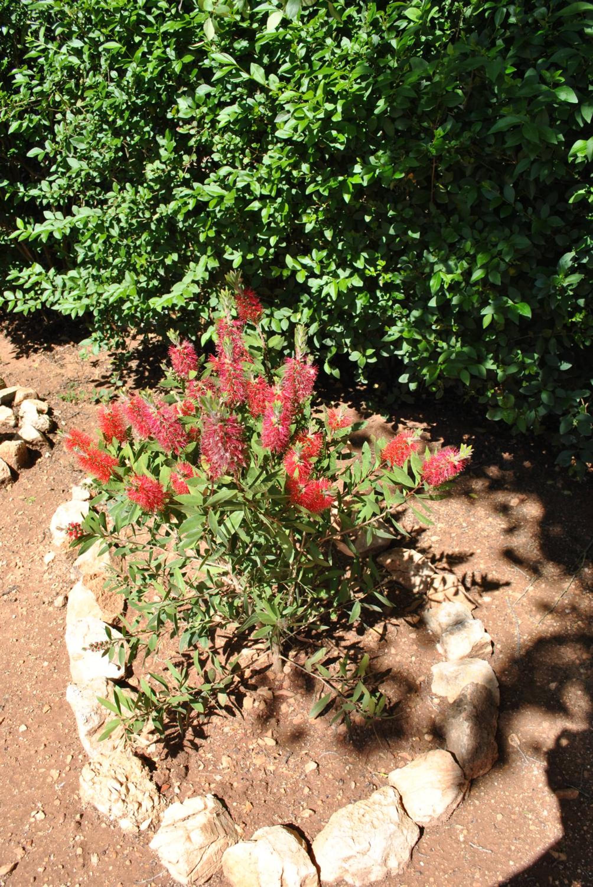 Photo 52