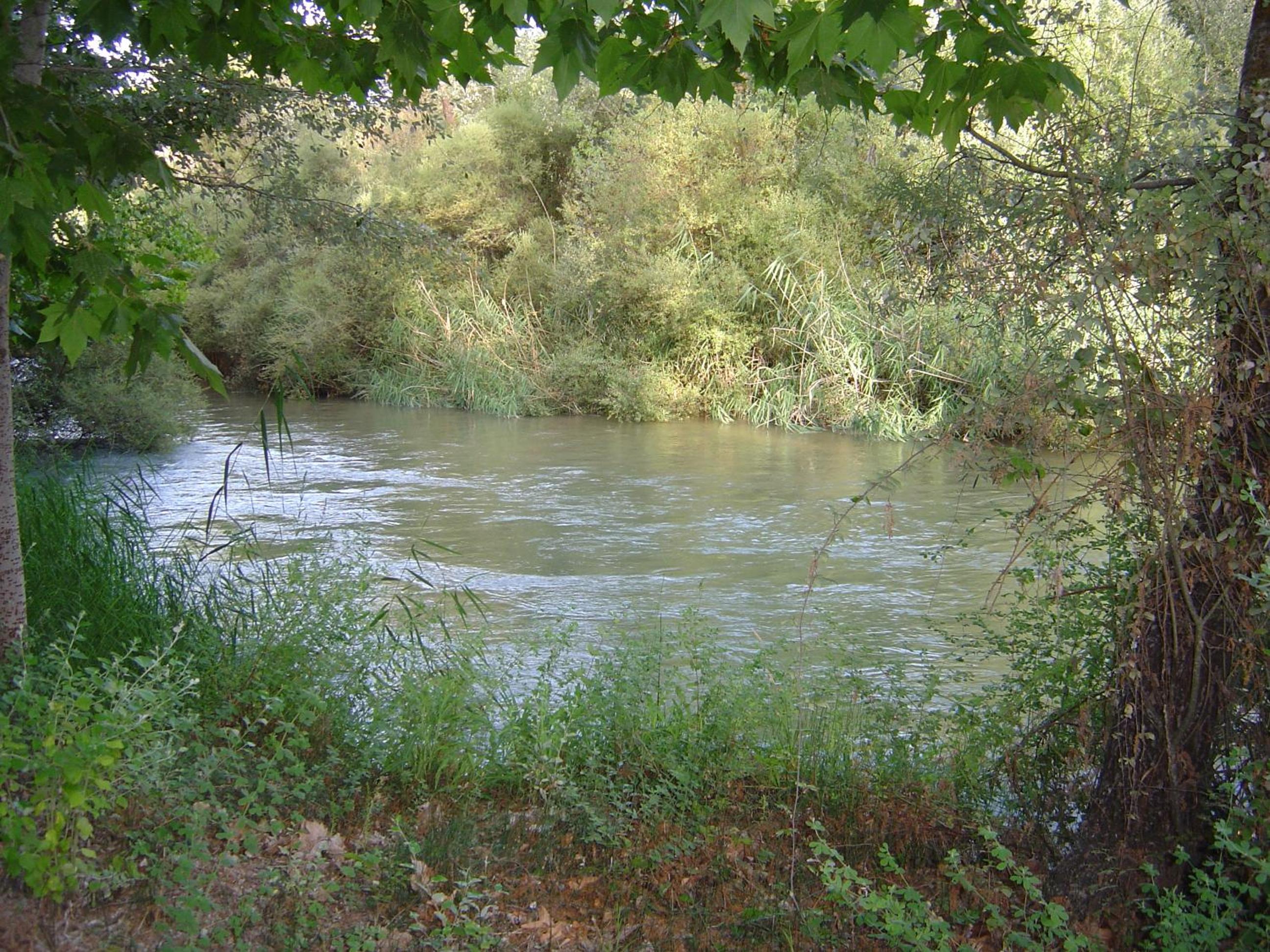 Photo 55