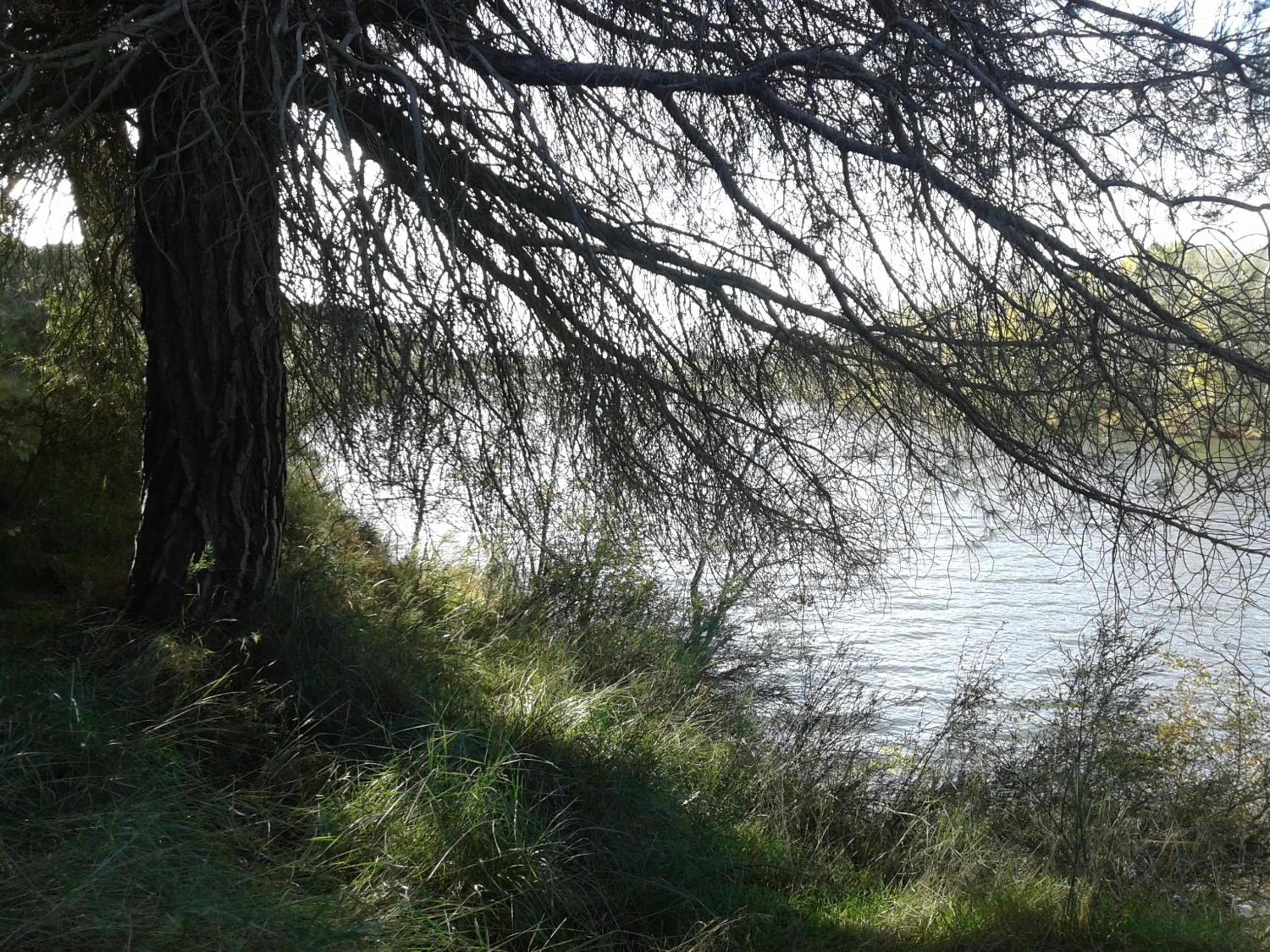Photo 38