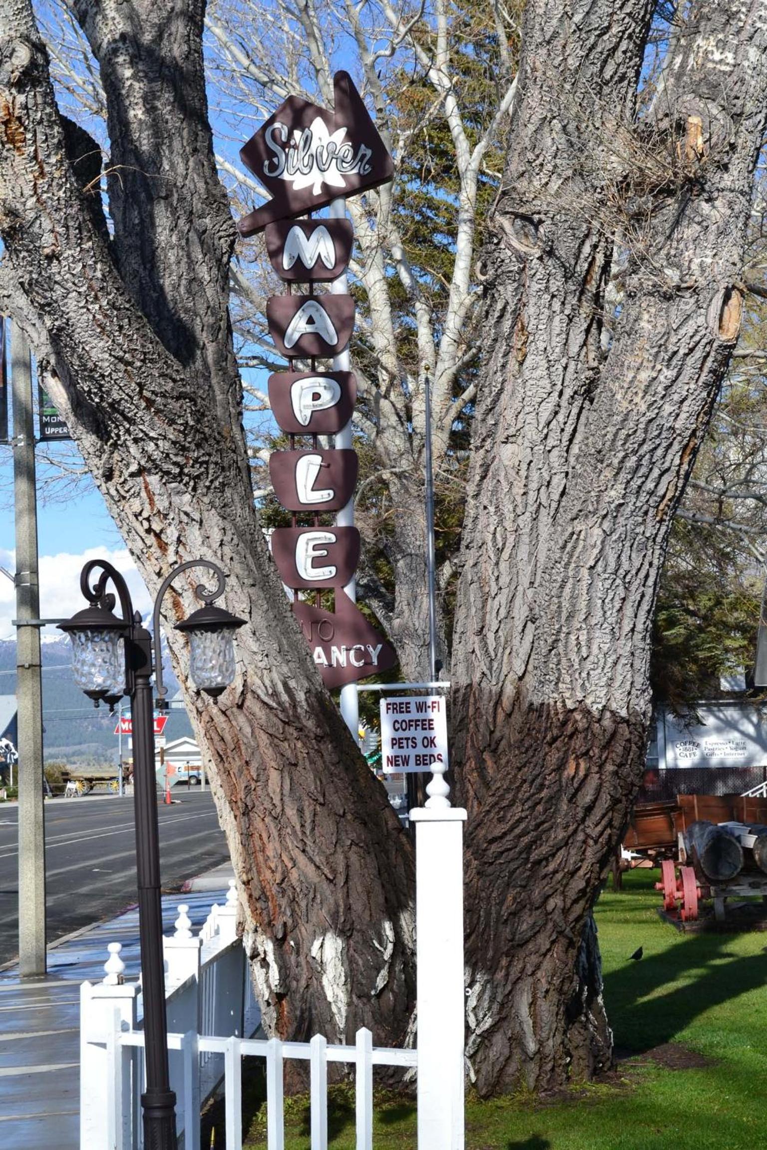 Silver Maple Inn