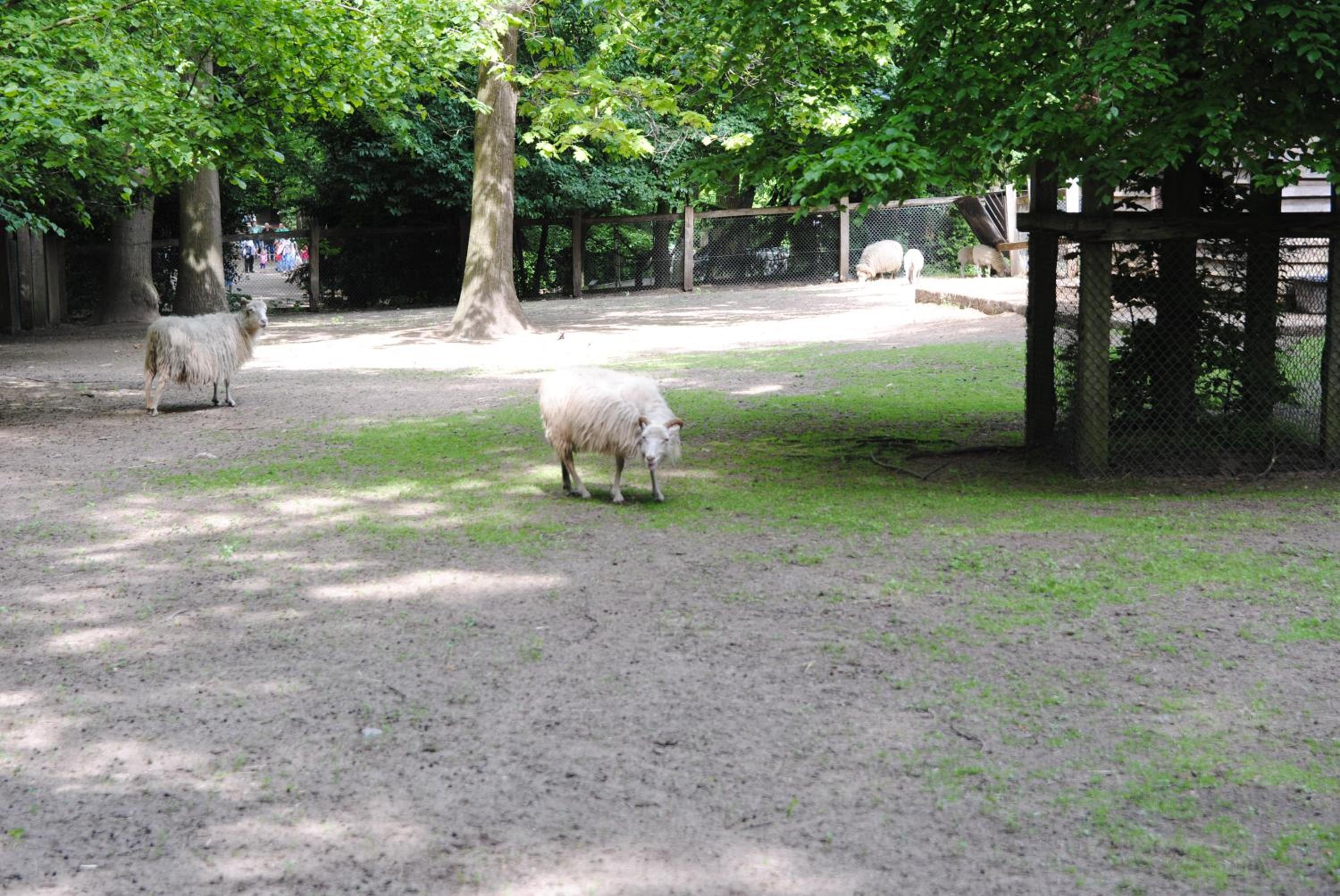 Helle Nichtraucherwohnung 69qm zwischen Köln und Düsseldorf, photo 41